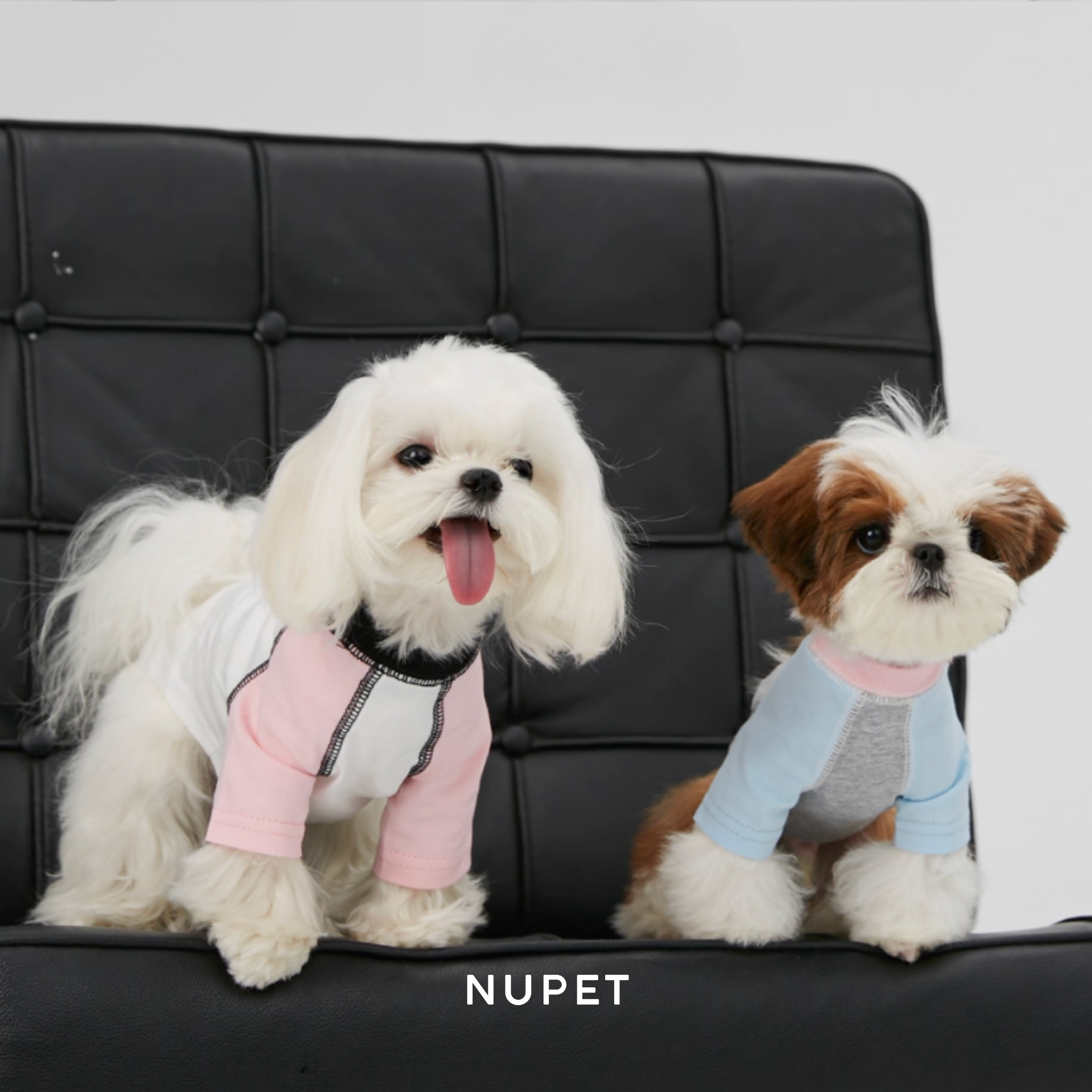 バイカラーラグラントップス