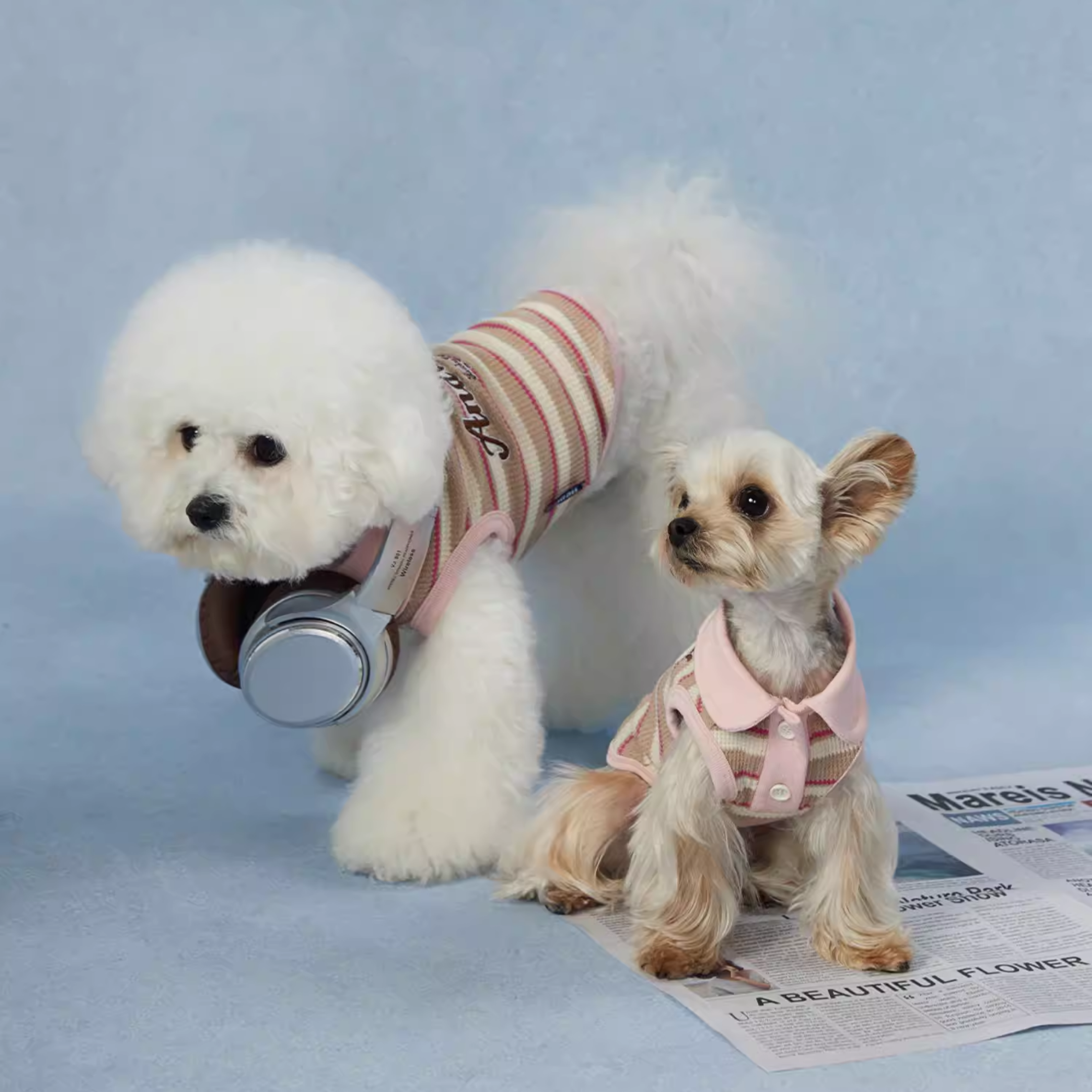 ソフトカラーニット