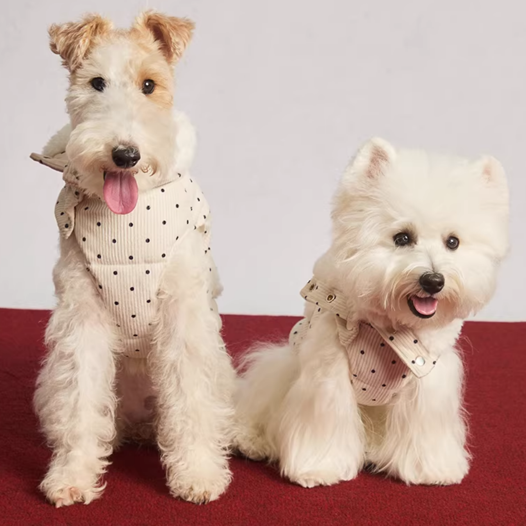 Dカン付きドットパフベスト