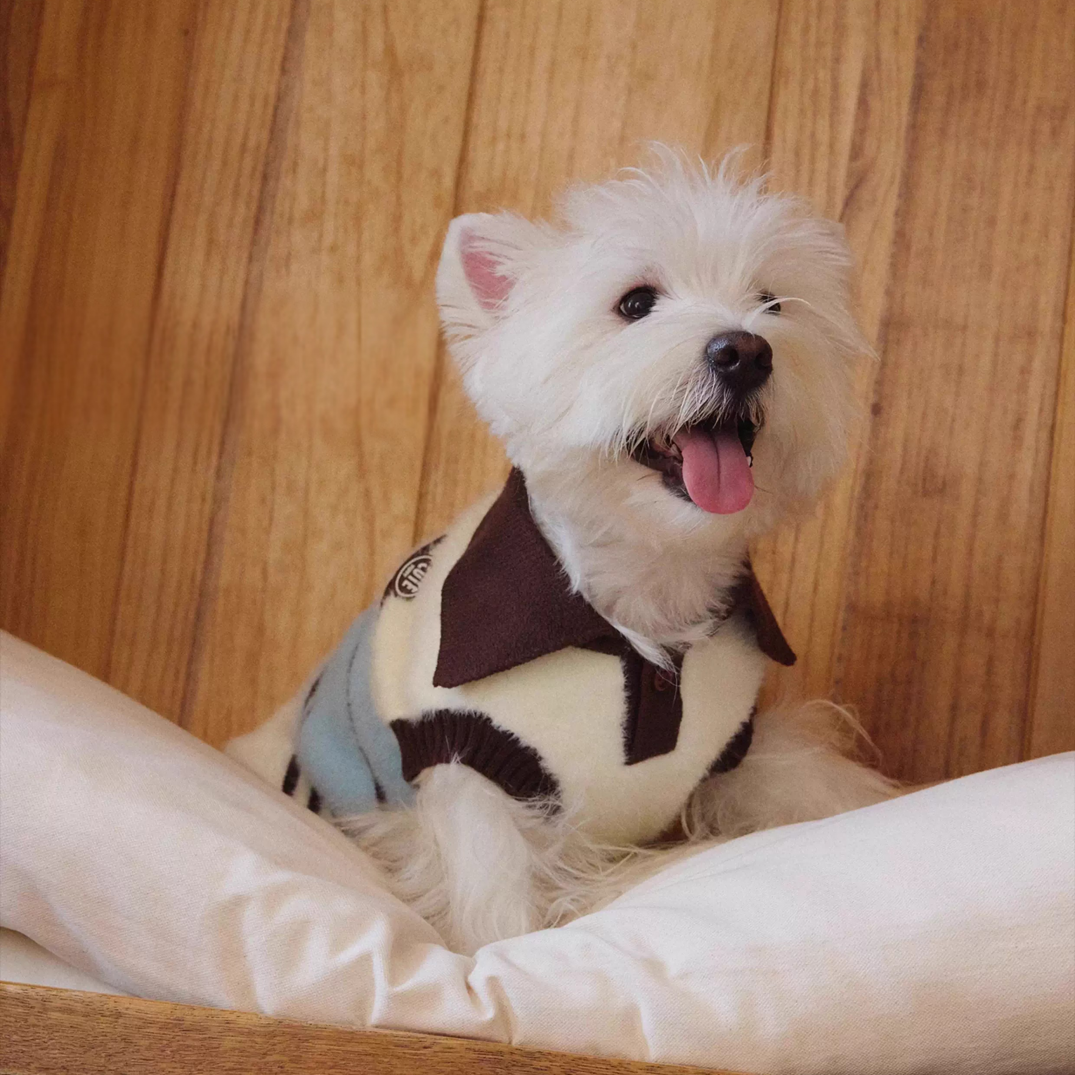 襟付きボーダーニットトップス