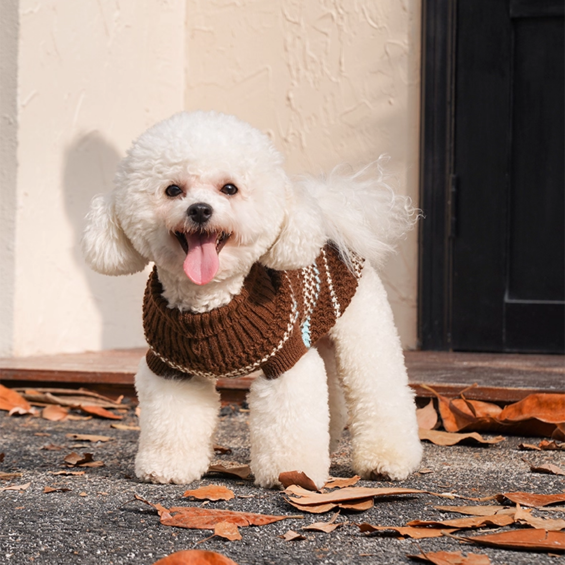 クラシックボーダーニット