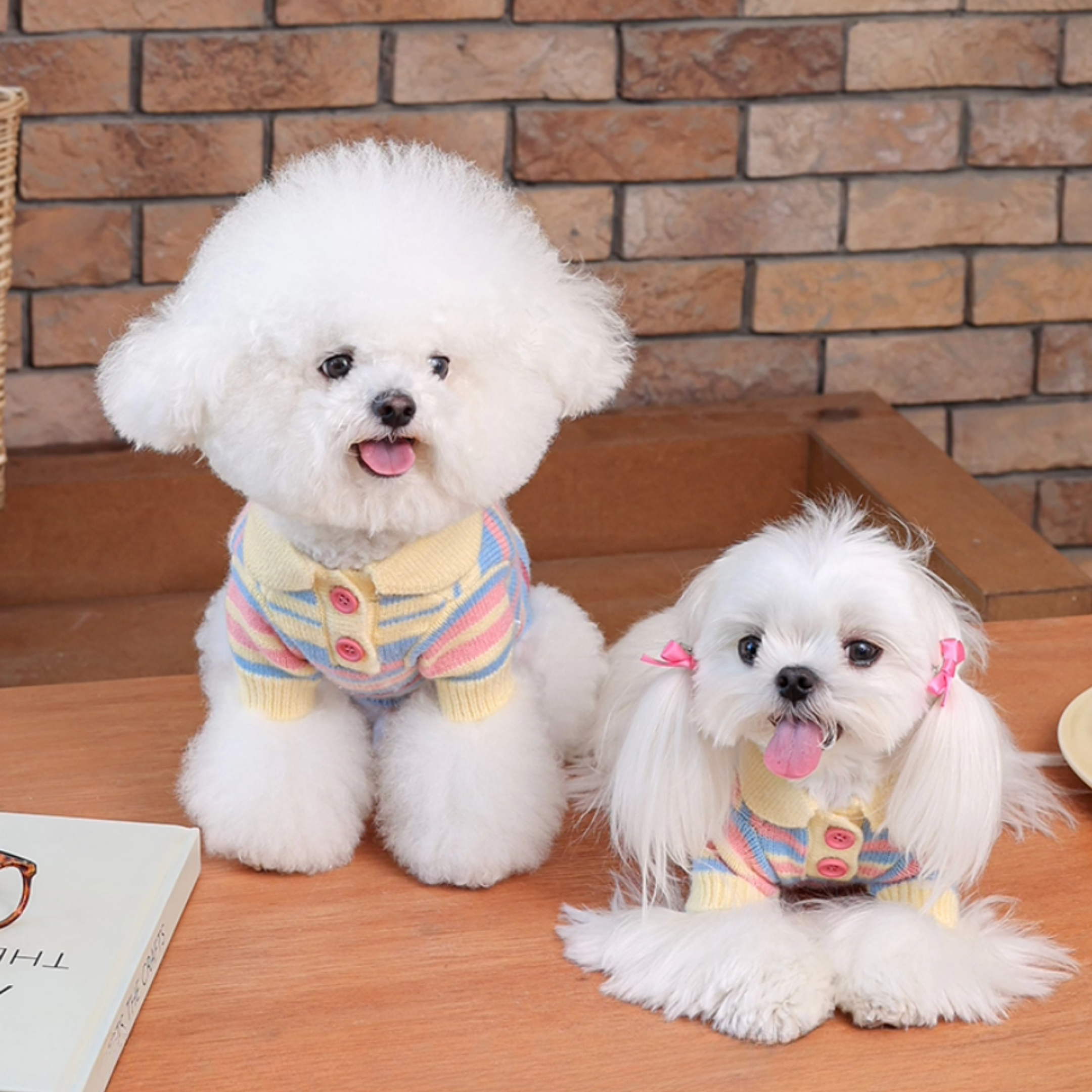 ボーダーニットトップス