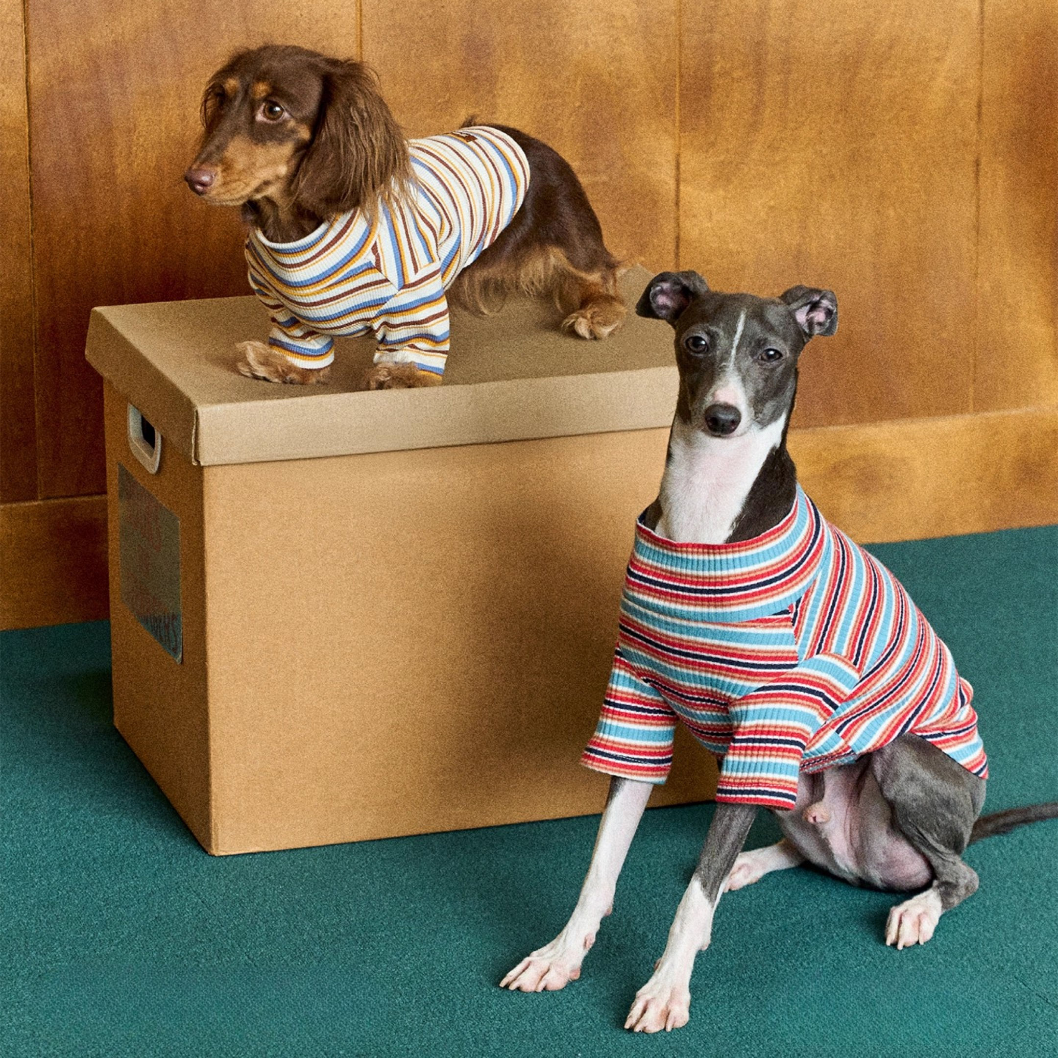 レトロラインタートルトップス