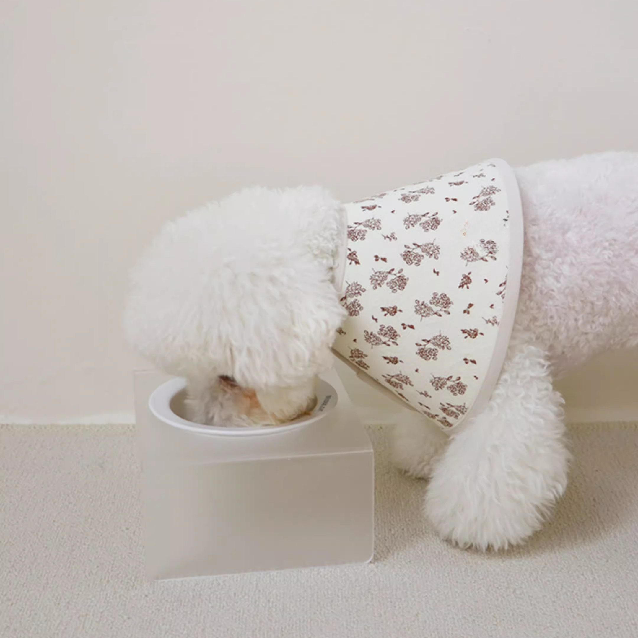 フラワーソフトエリザベス