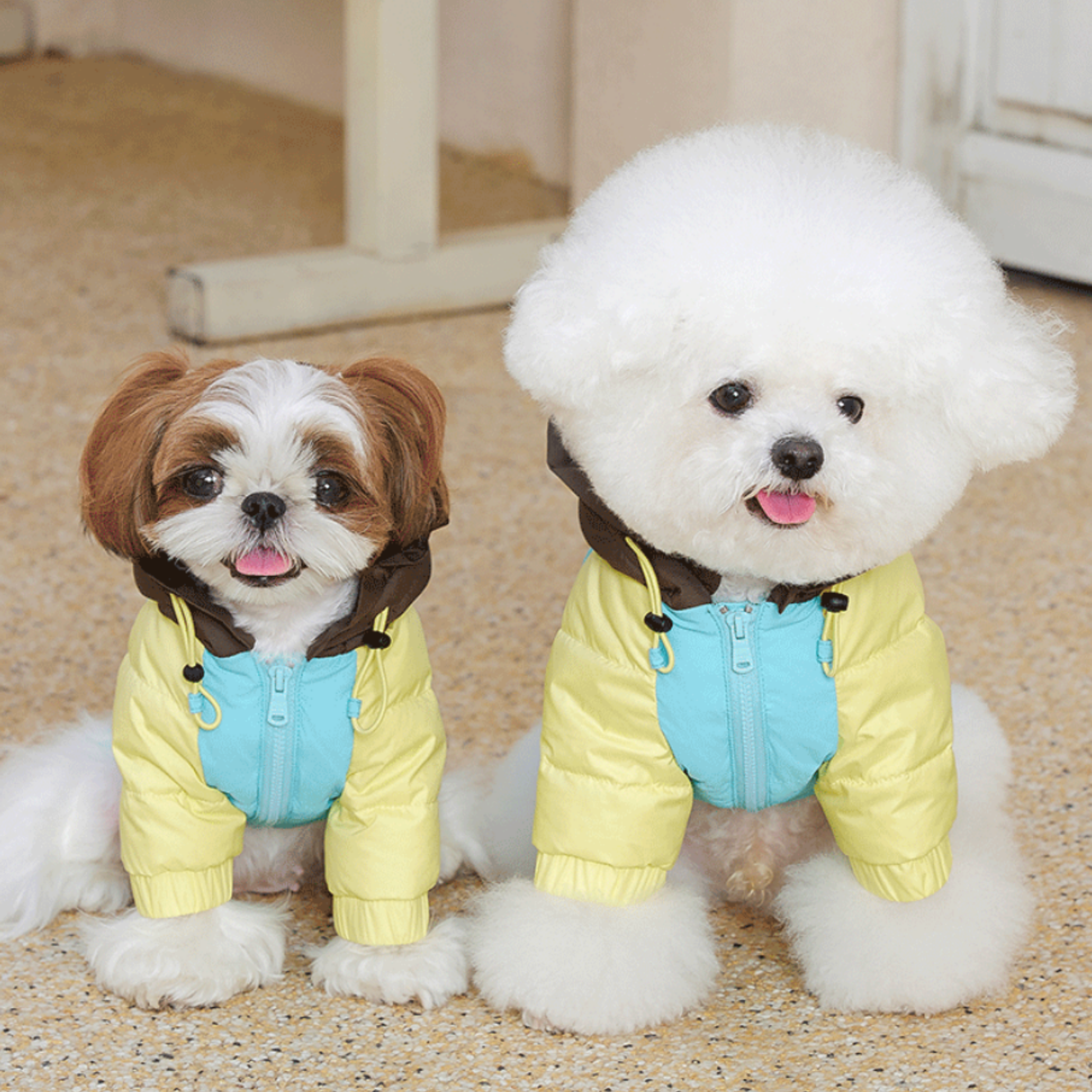 ポンポンフーディアウター