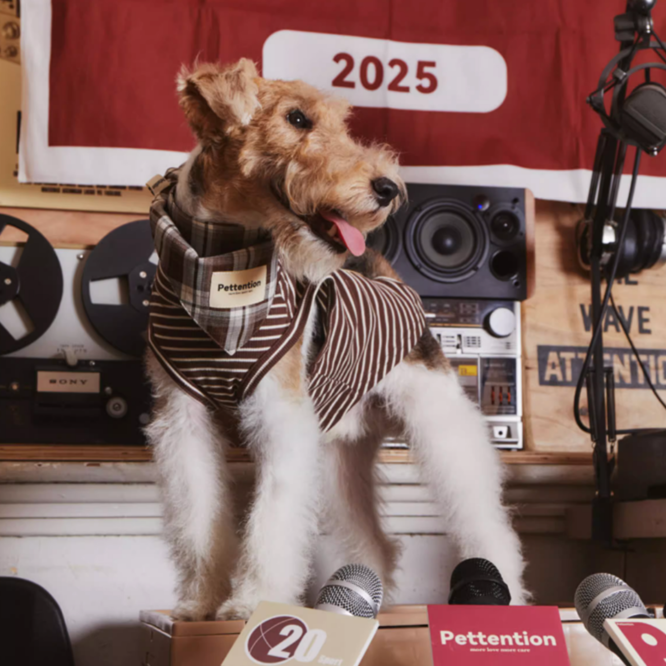 ストライプコットントップス