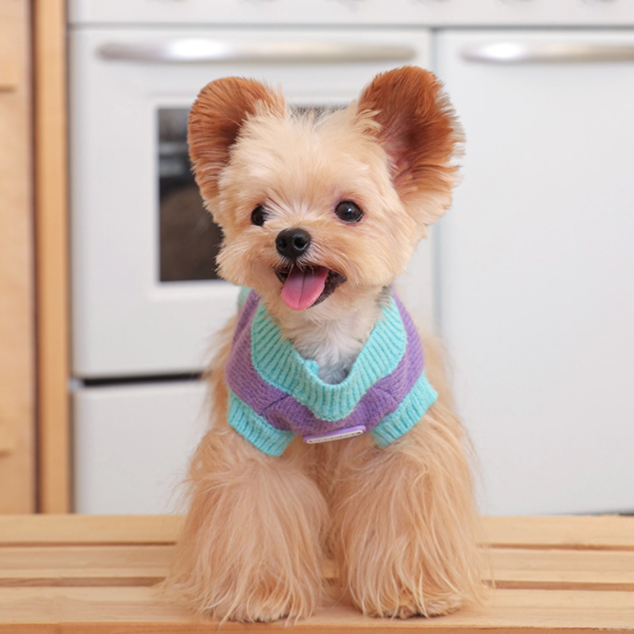 クラウドニットトップス