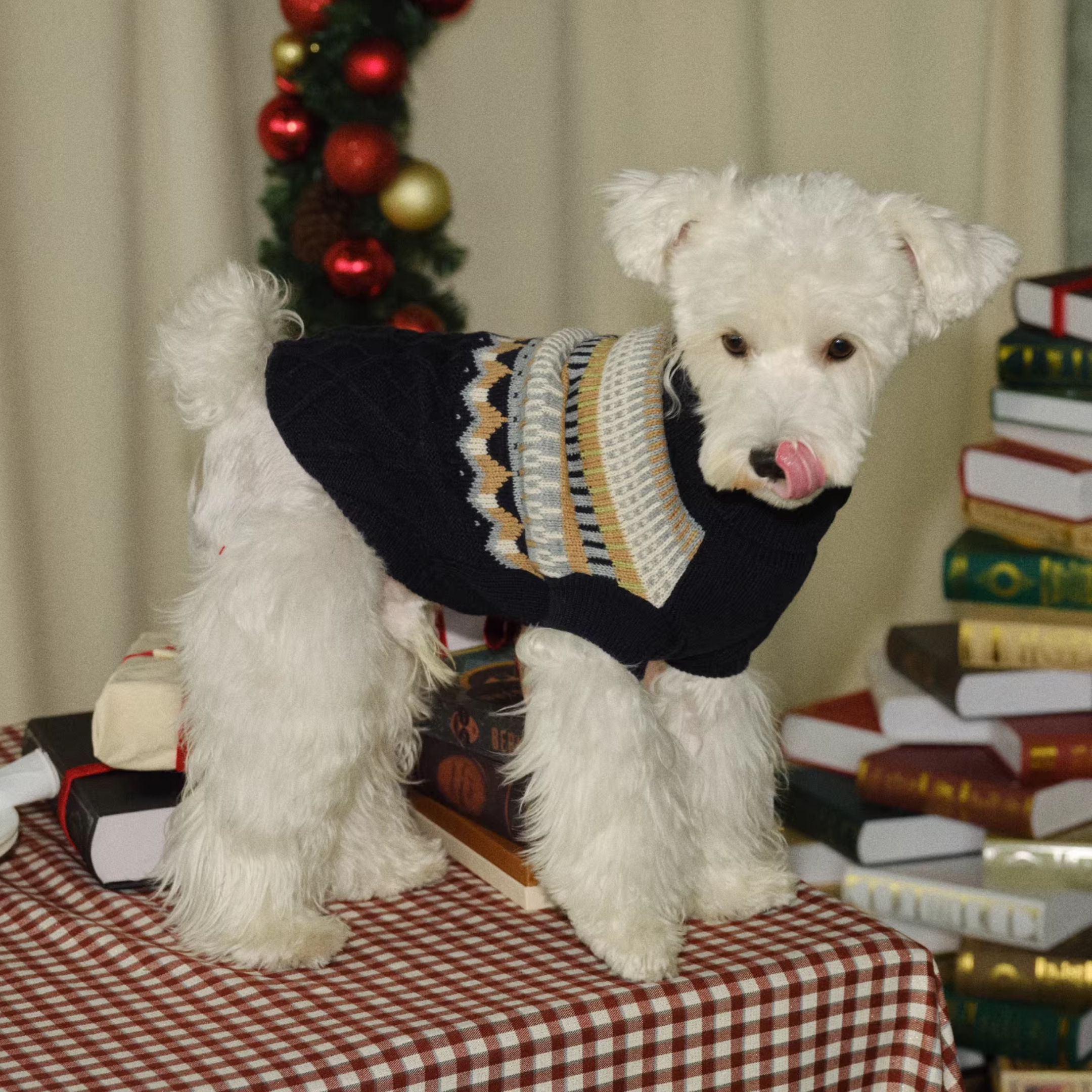 ノルディックニットトップス