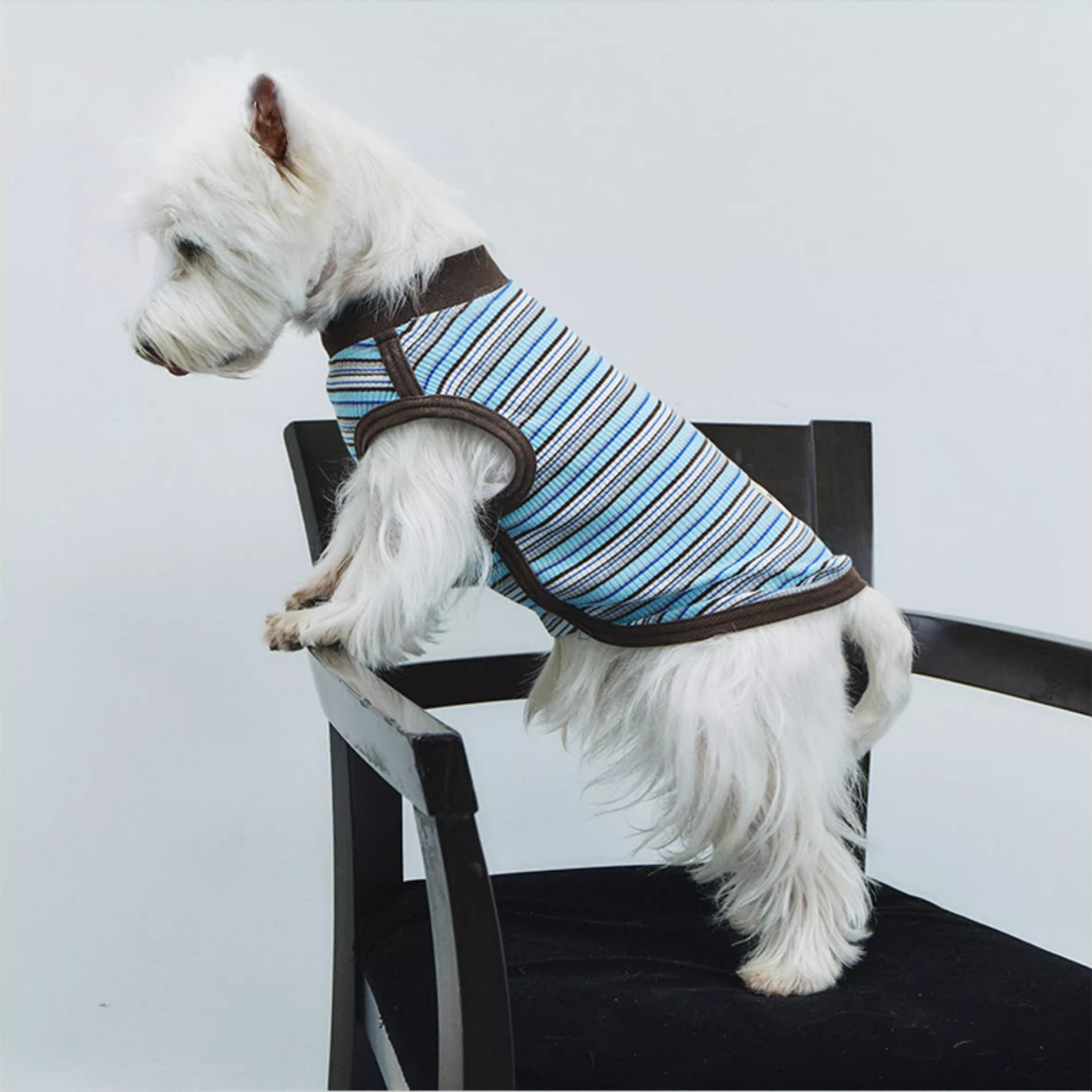 マルチボーダートップス