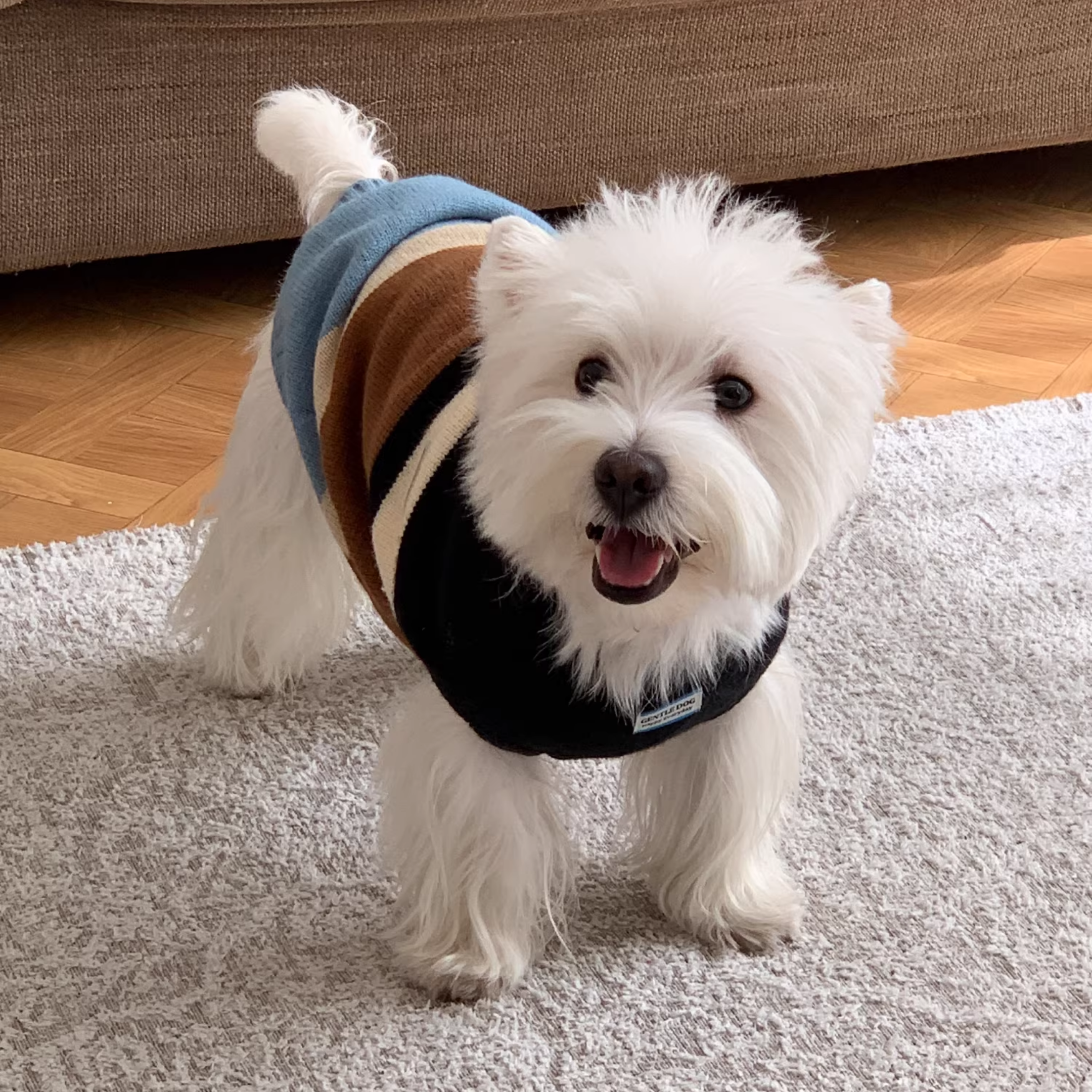 コンフォートボーダートップス