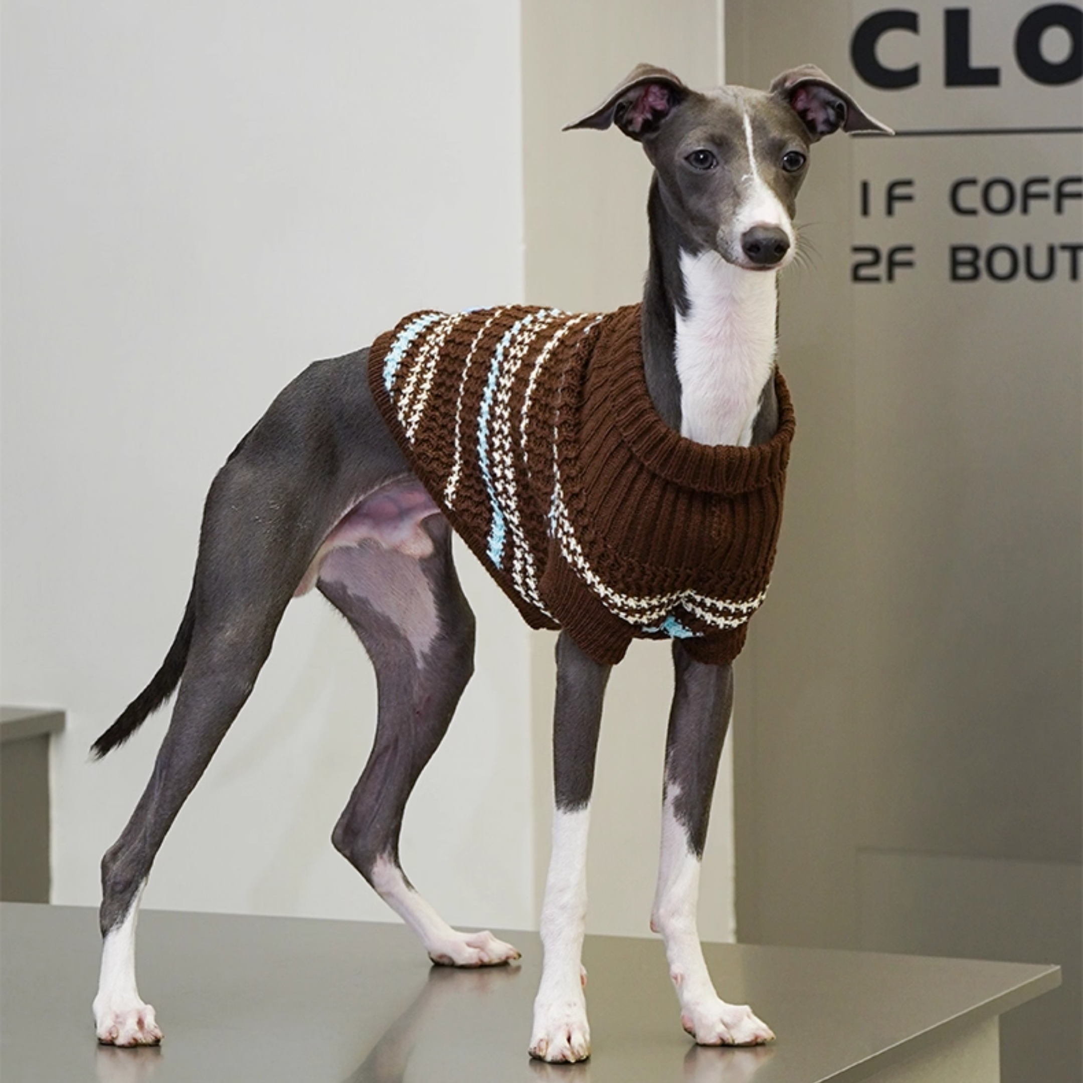 クラシックボーダーニット