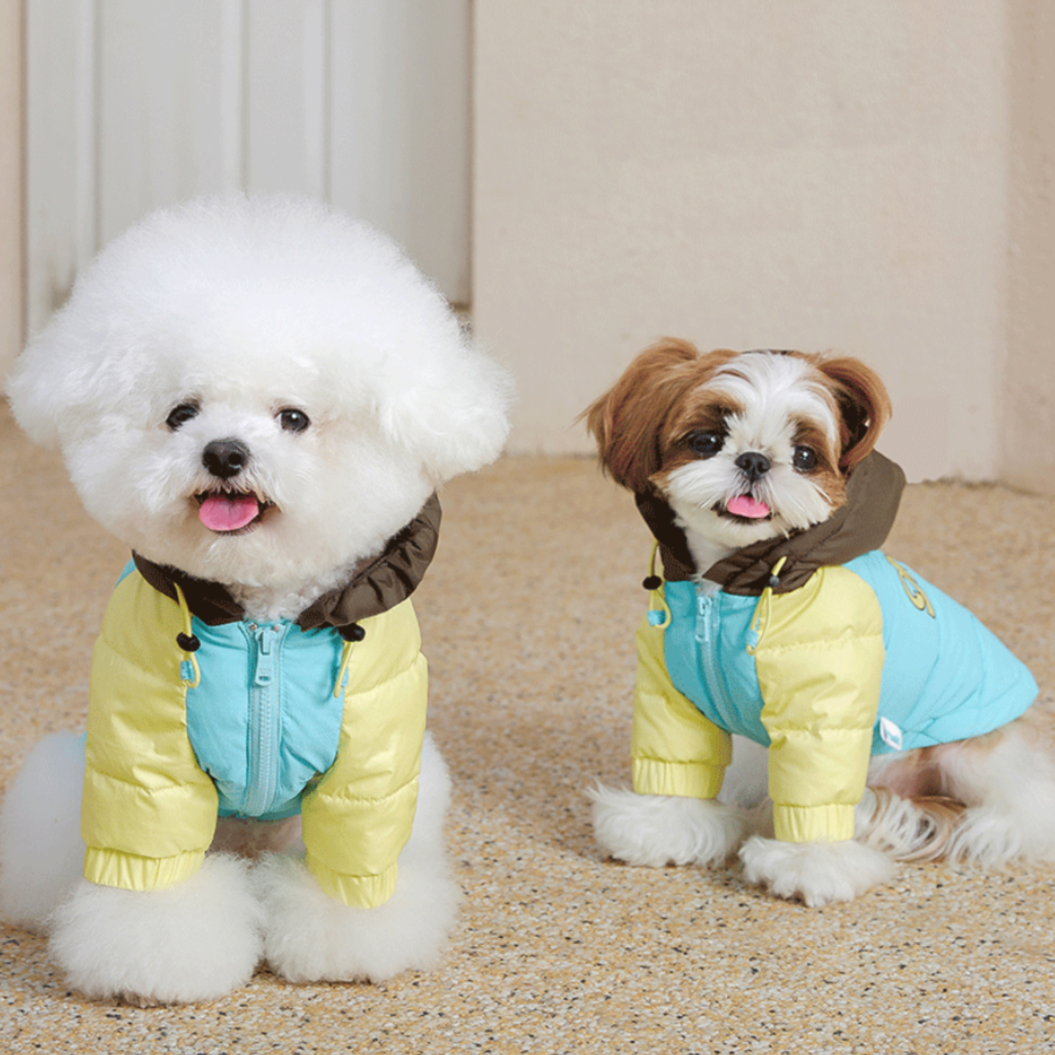 ポンポンフーディアウター