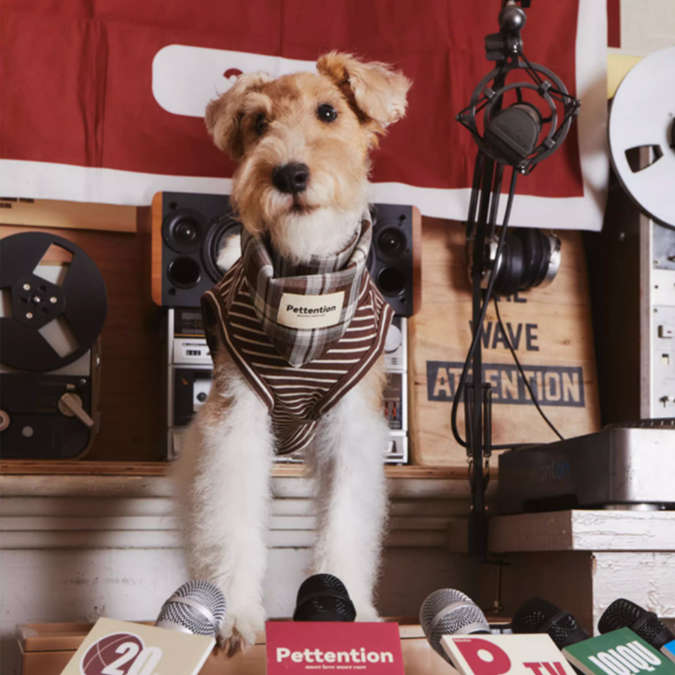 ストライプコットントップス