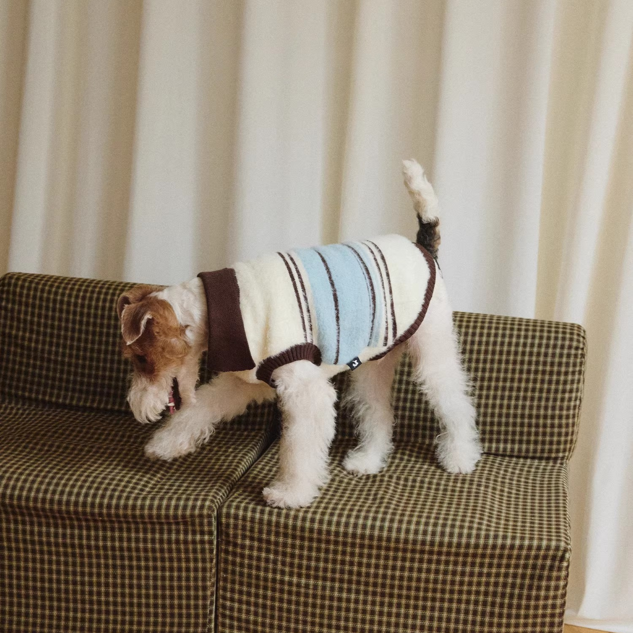 襟付きボーダーニットトップス