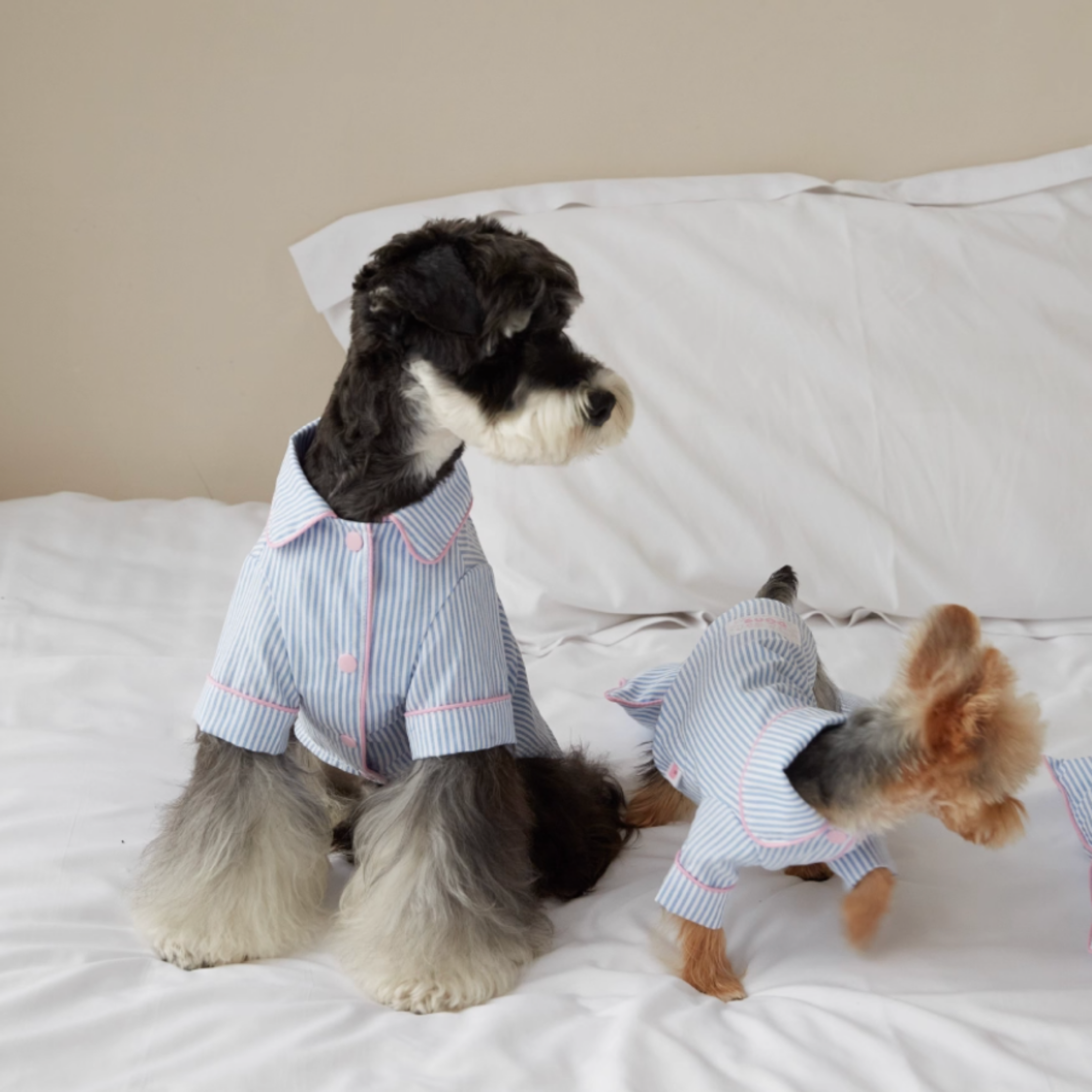 ストライプパジャマトップス