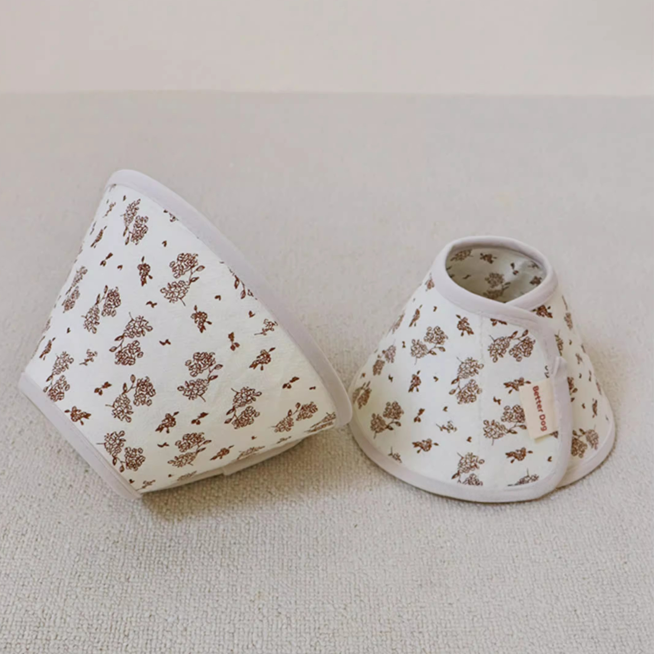 フラワーソフトエリザベス