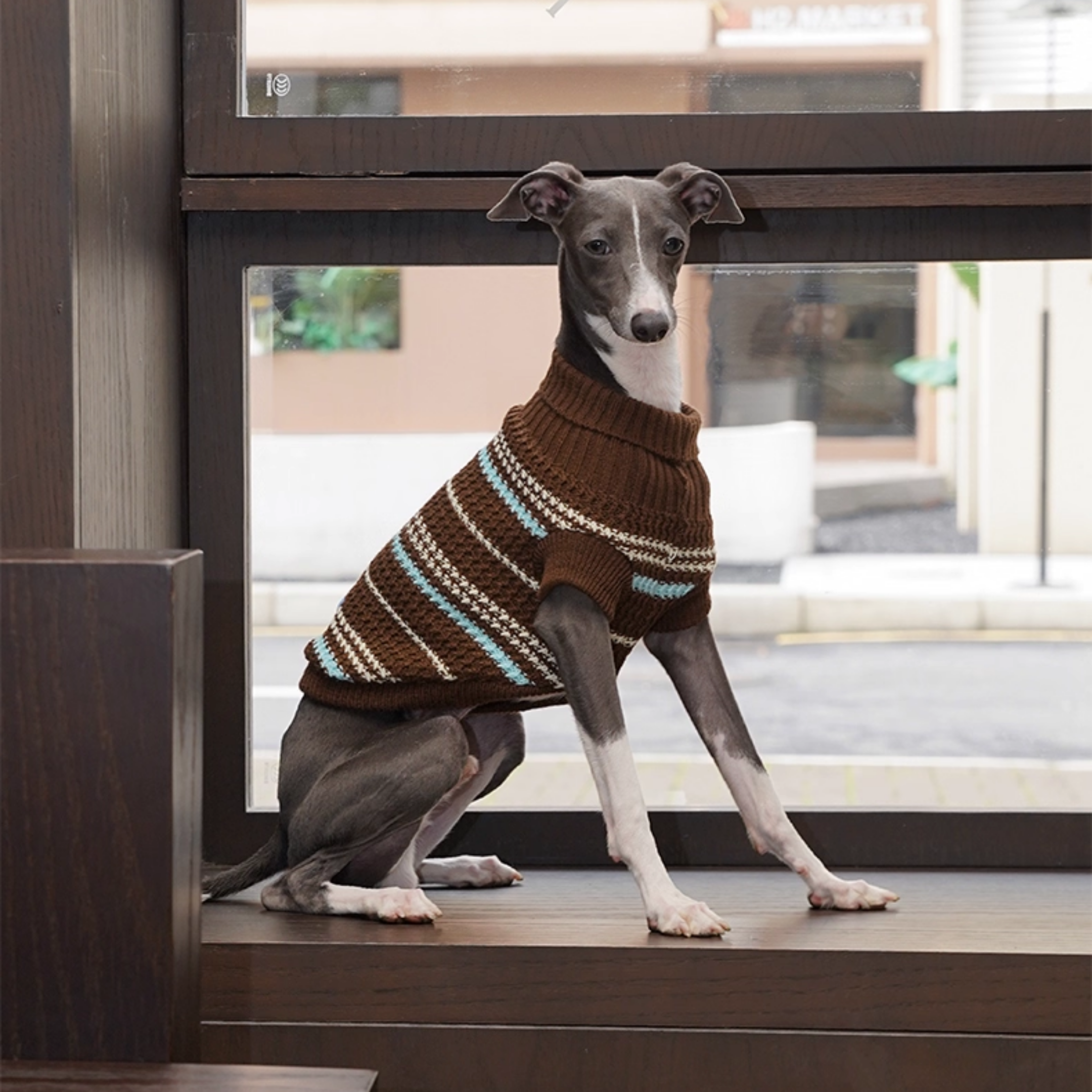 クラシックボーダーニット