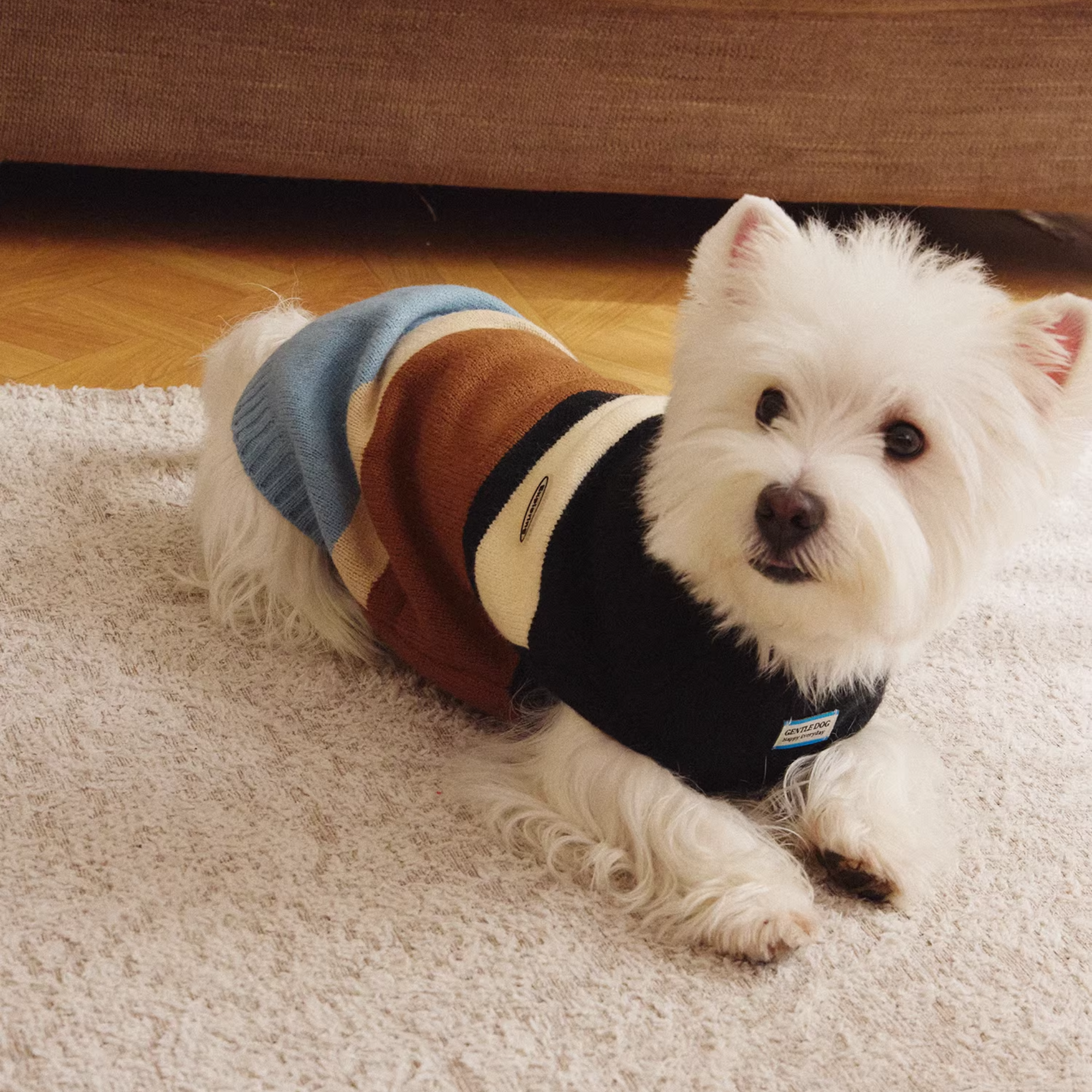 コンフォートボーダートップス