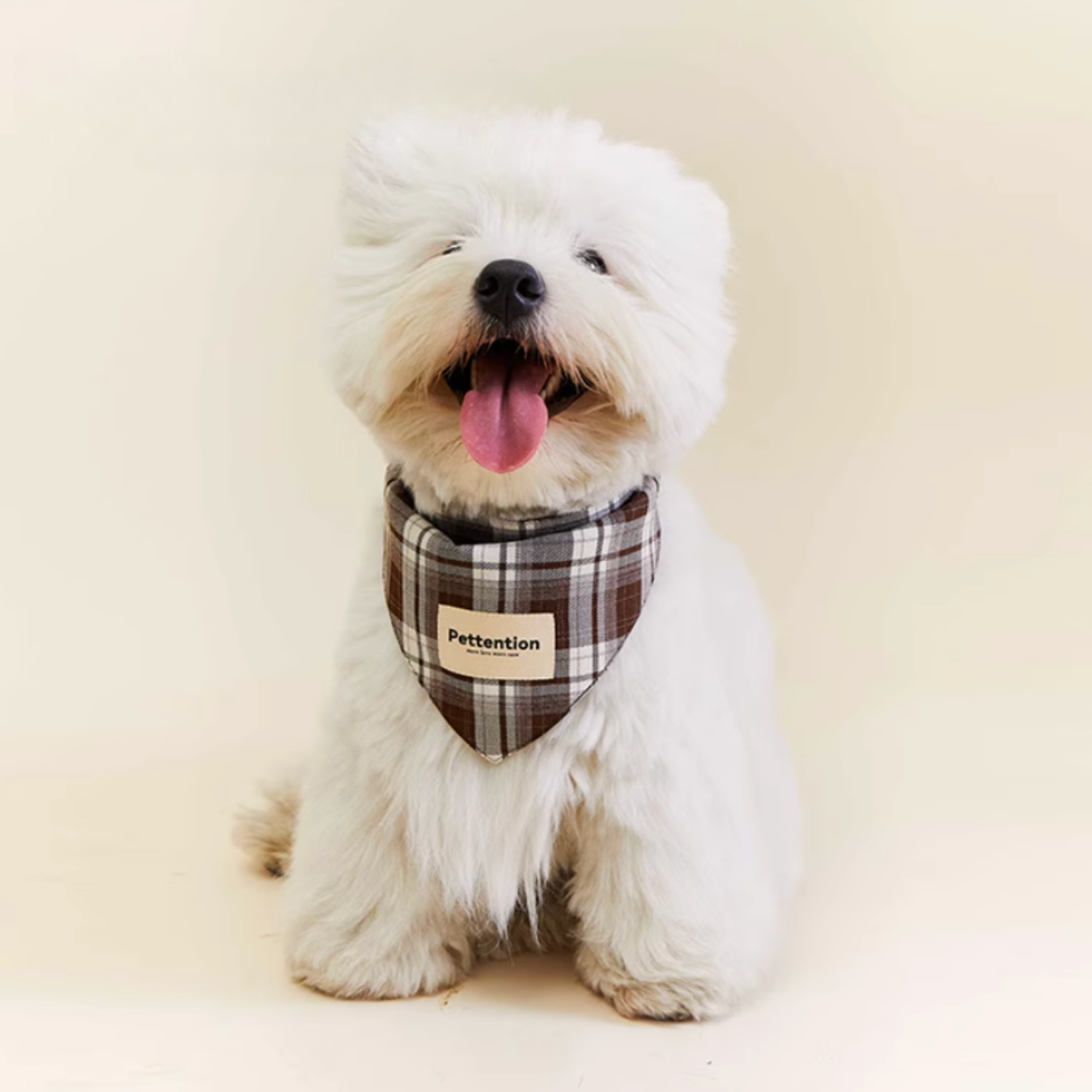 チェックペットバンダナ