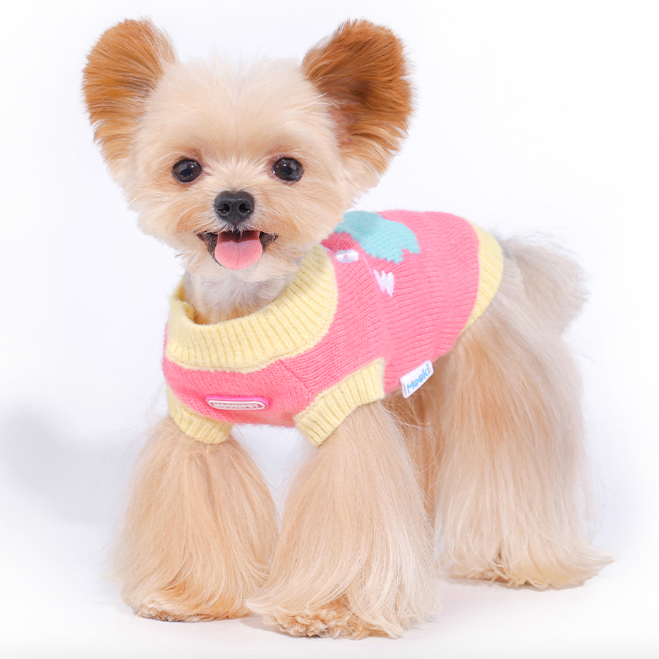 クラウドニットトップス