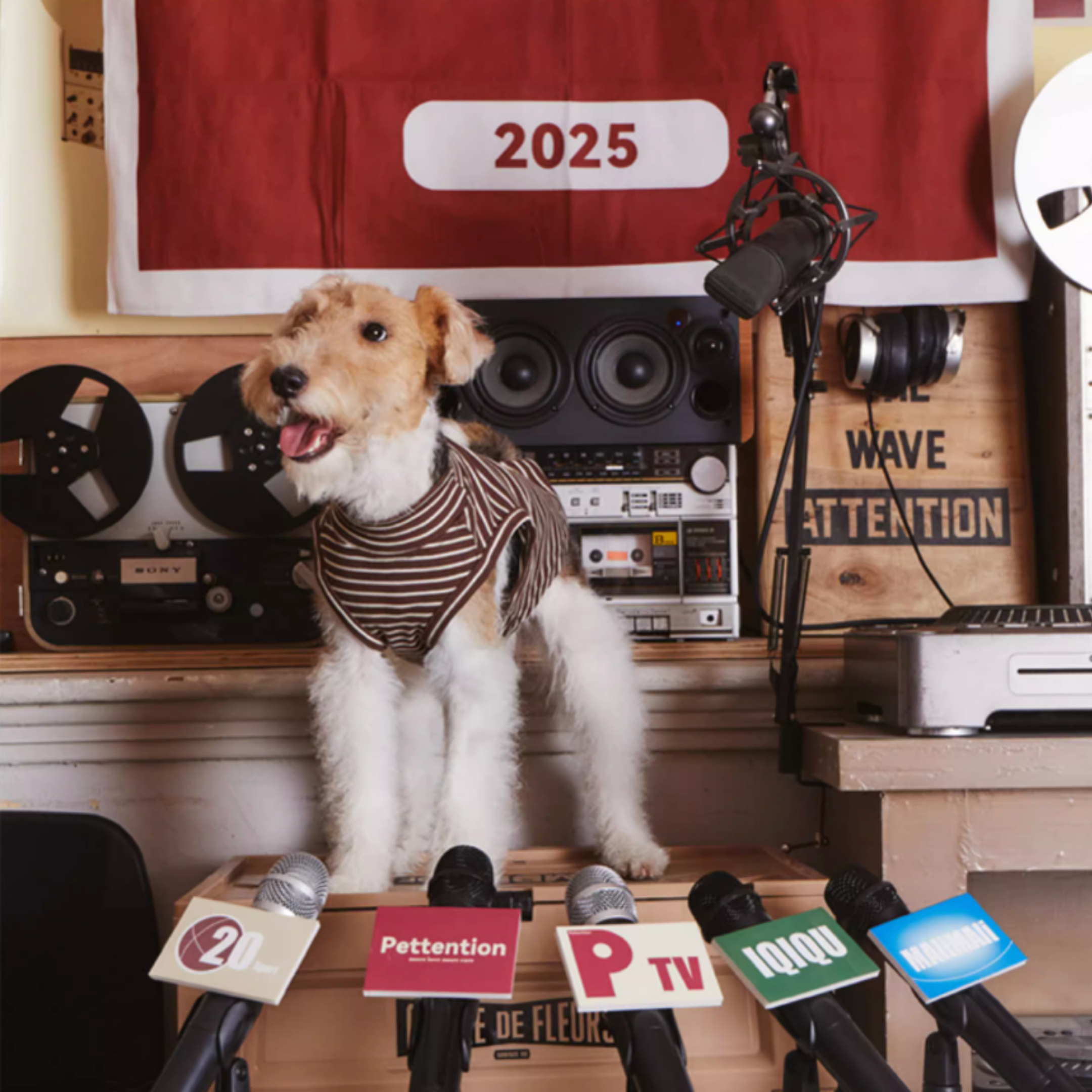 ストライプコットントップス