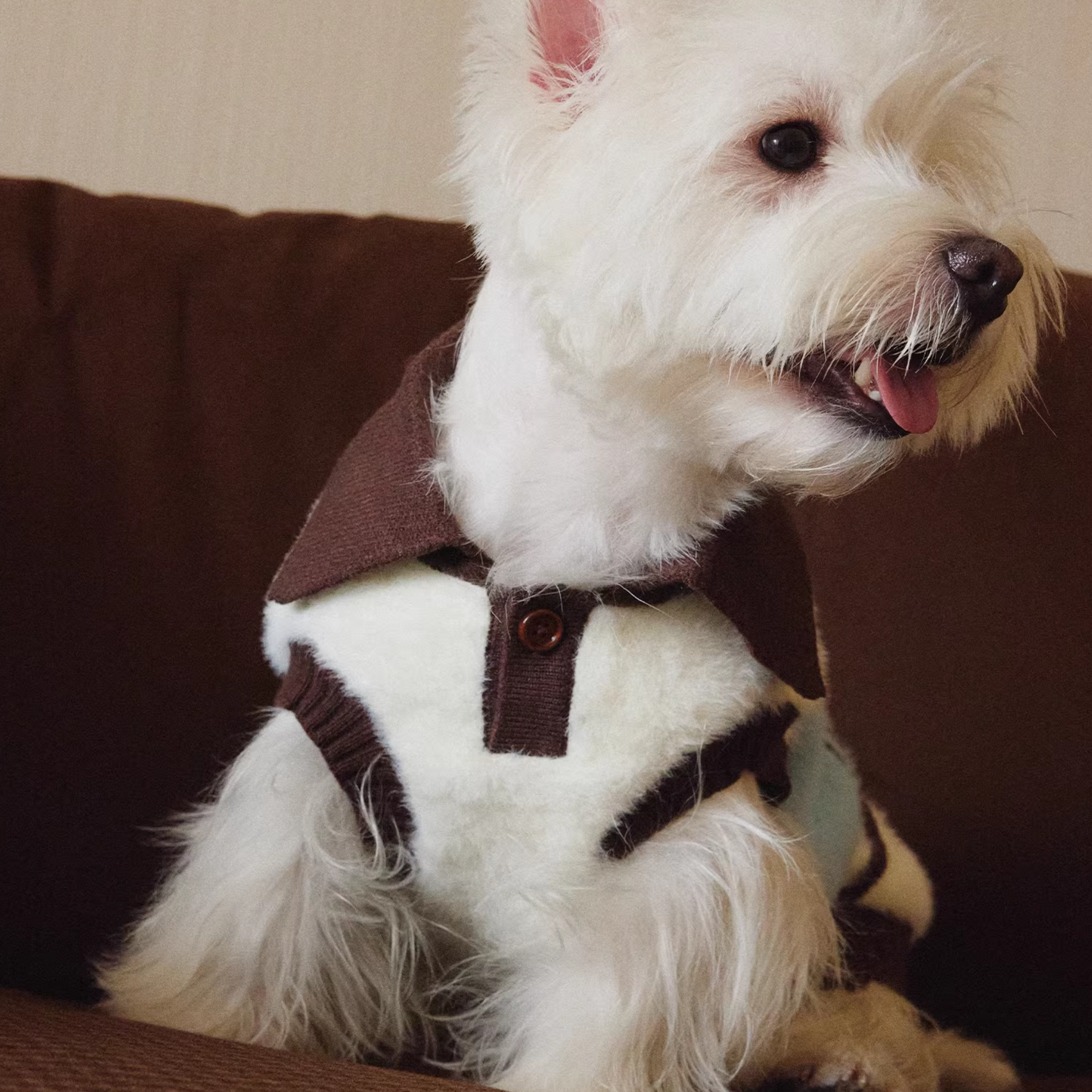 襟付きボーダーニットトップス