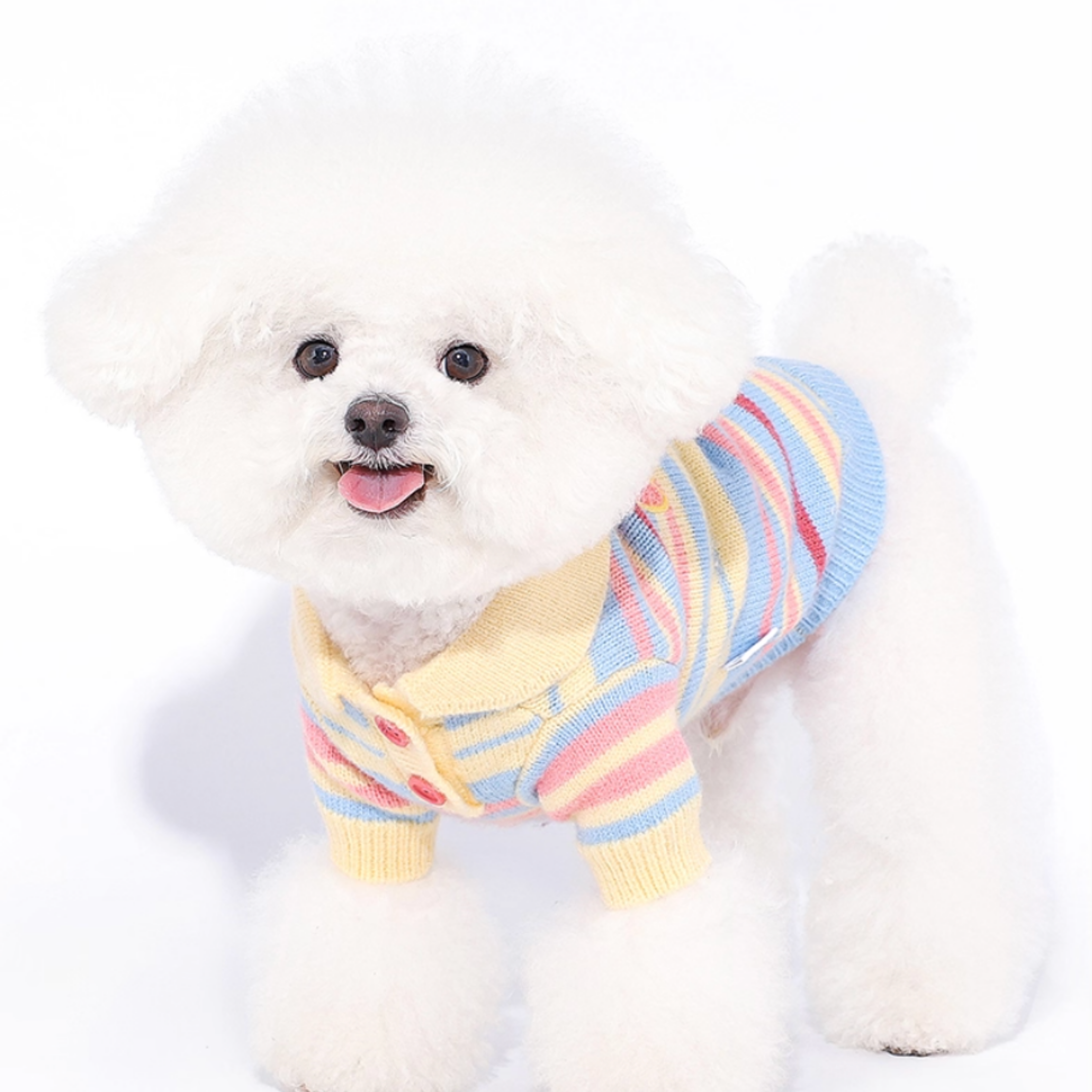 ボーダーニットトップス