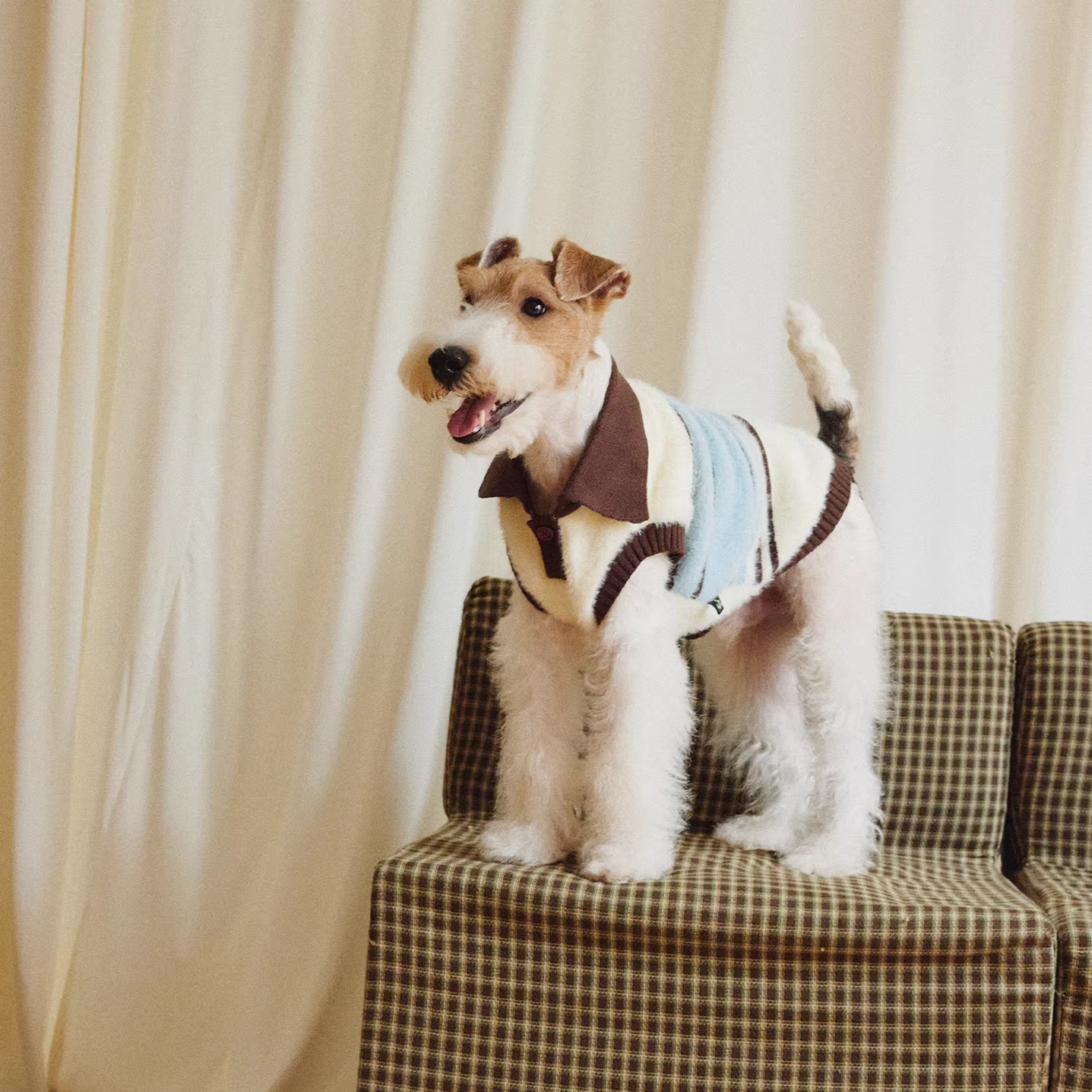 襟付きボーダーニットトップス