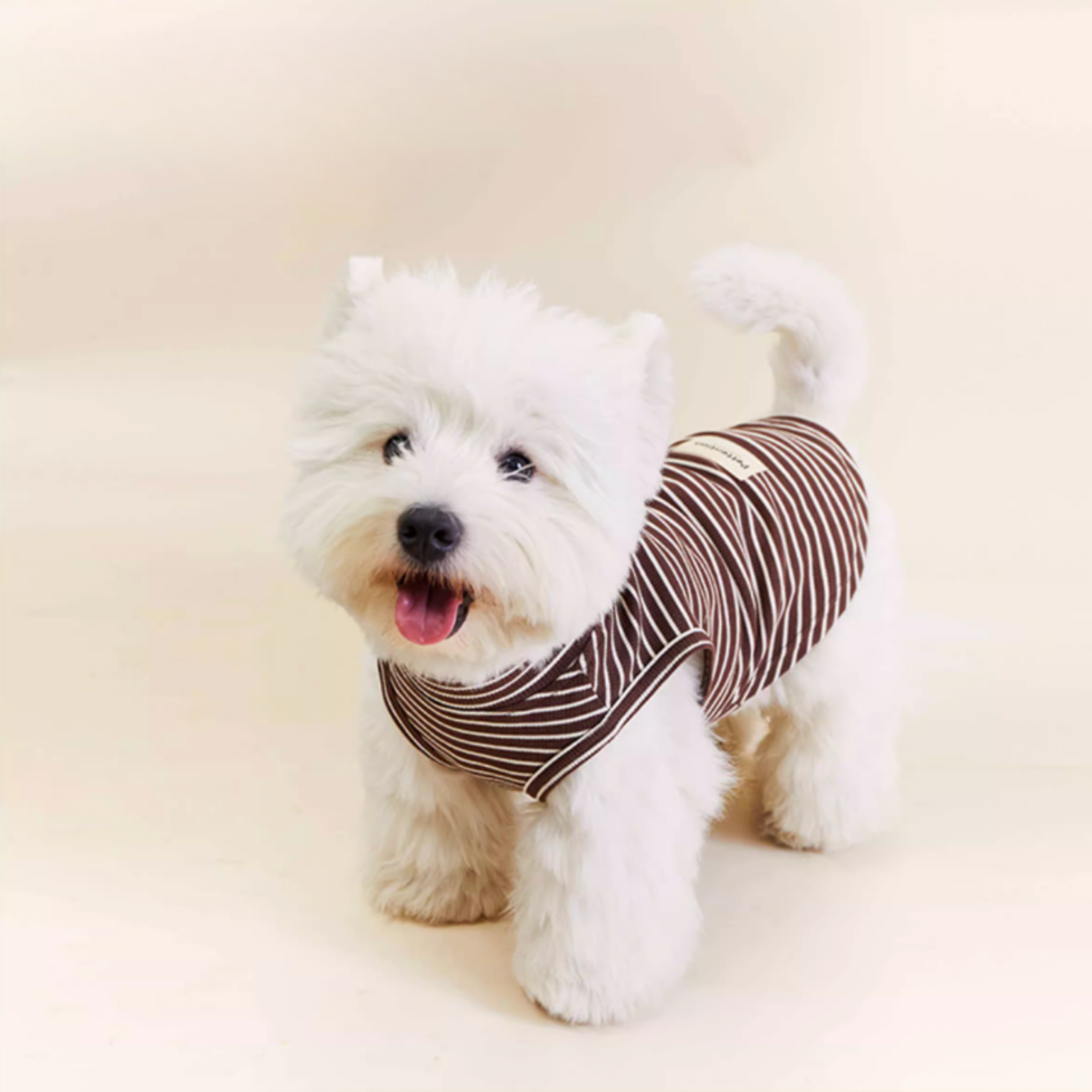 ストライプコットントップス