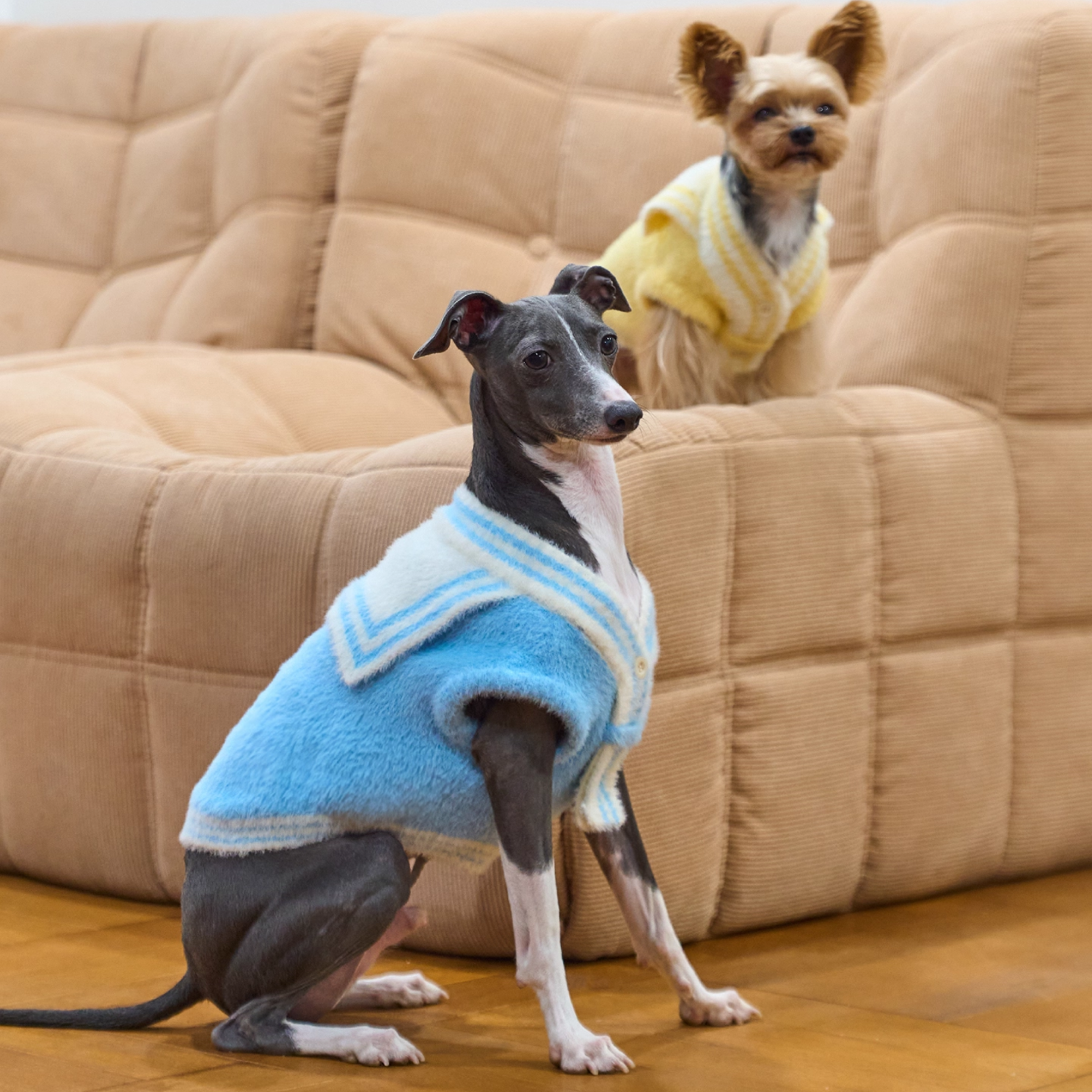 セーラーニットトップス