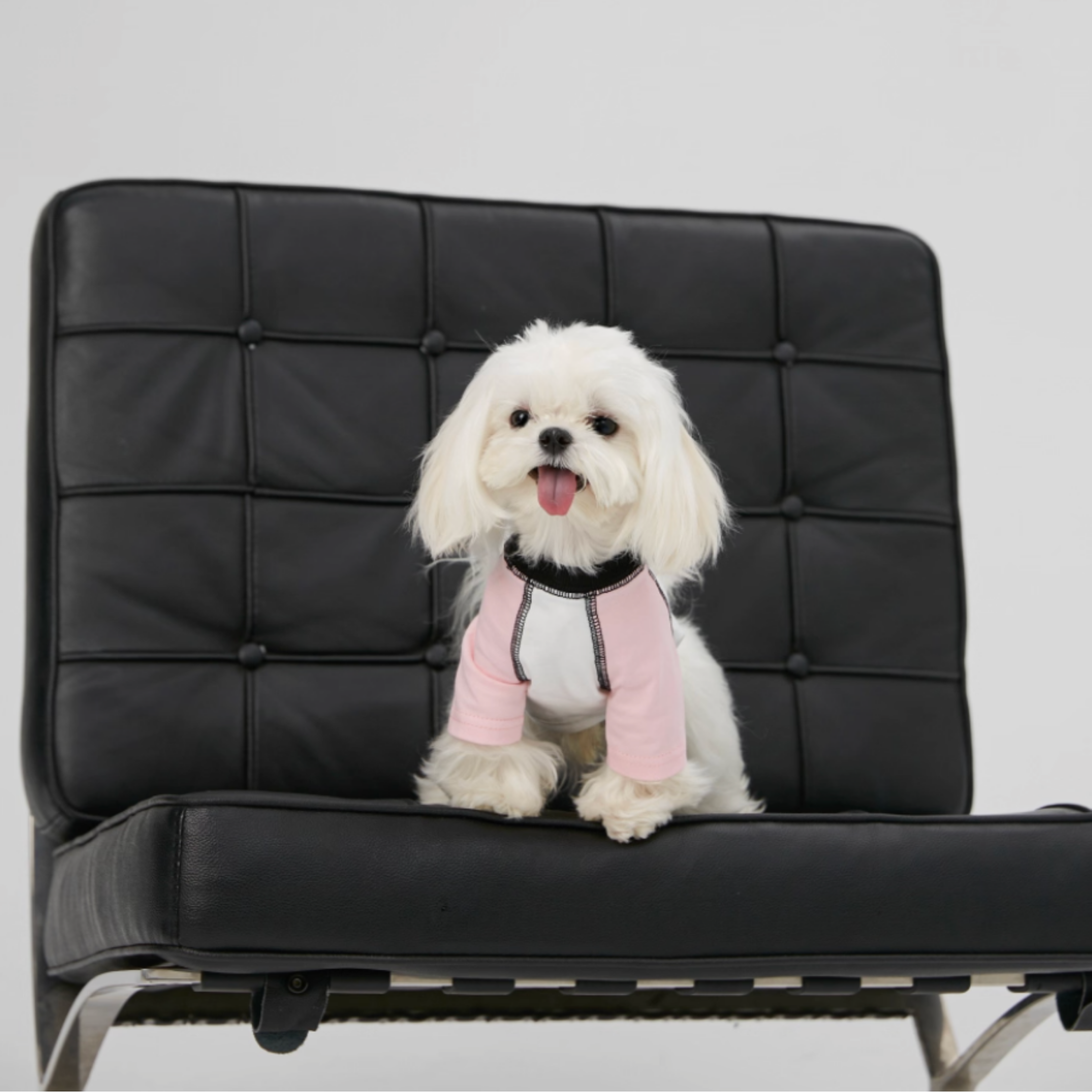 バイカラーラグラントップス