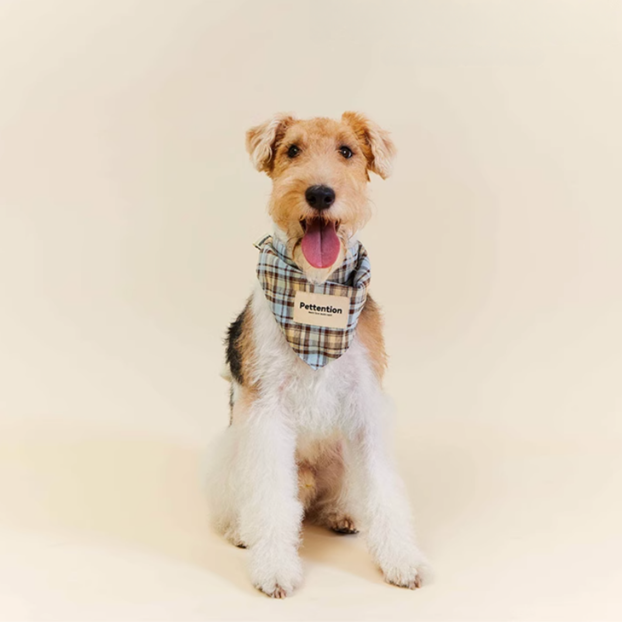 チェックペットバンダナ