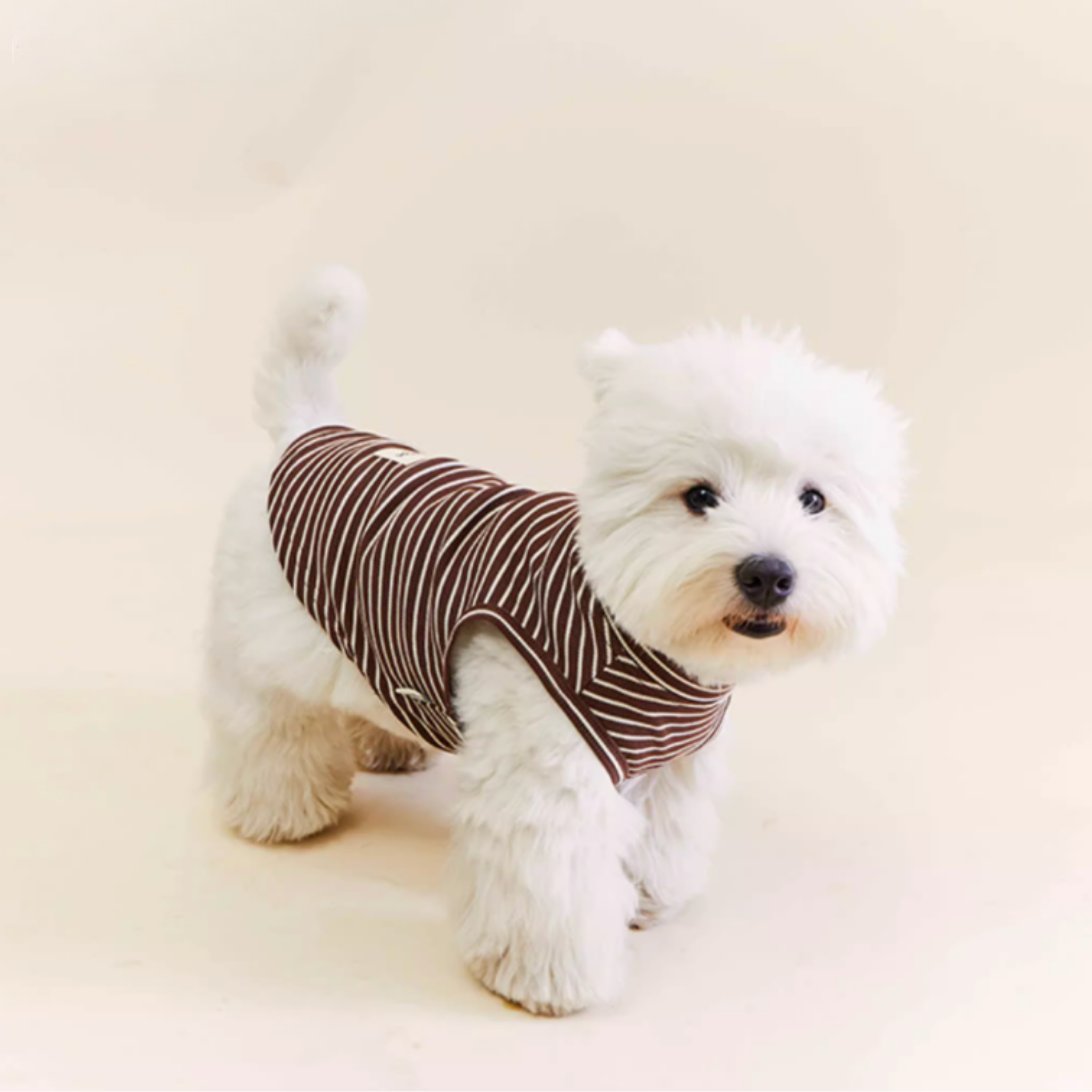 ストライプコットントップス