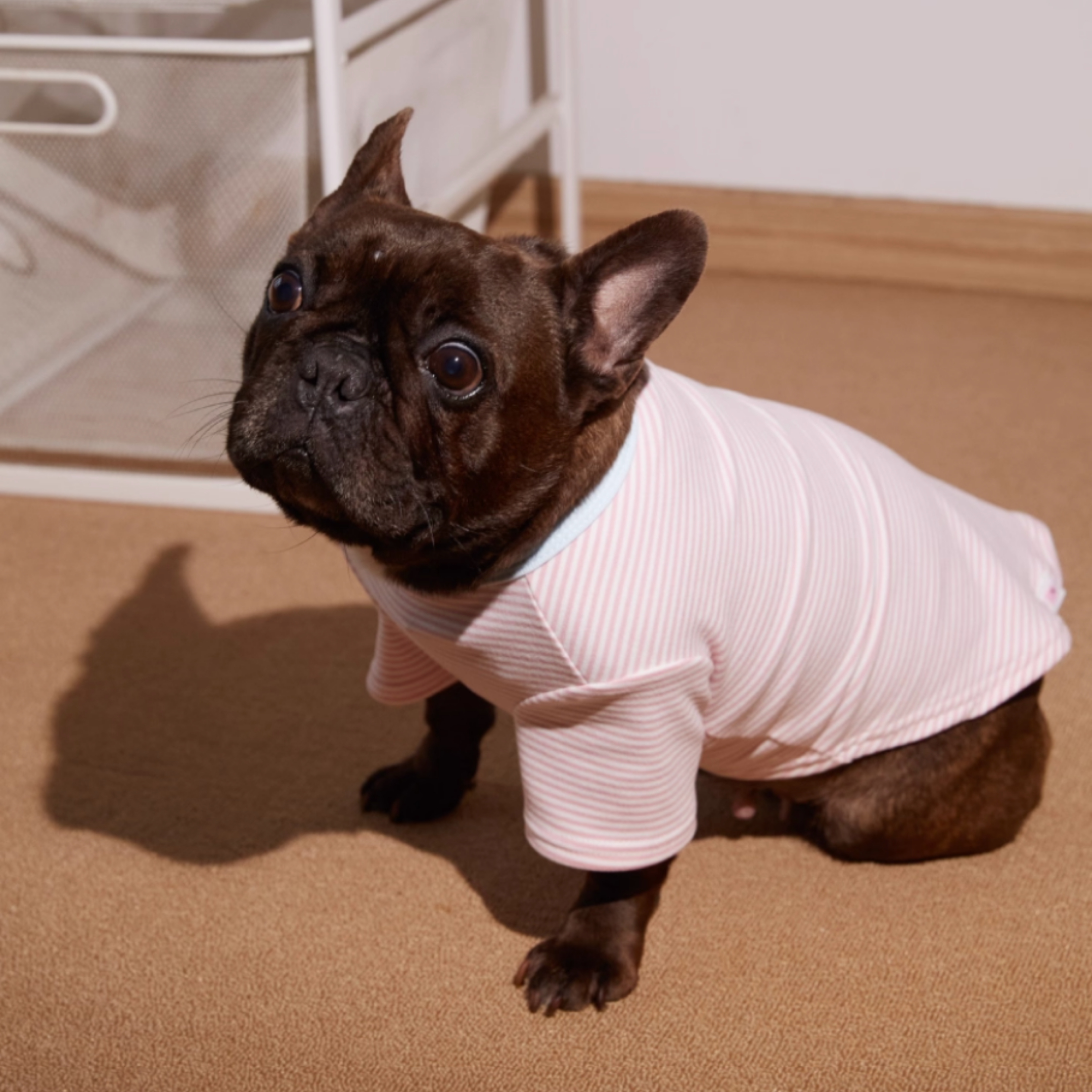 ボーダーコットントップス