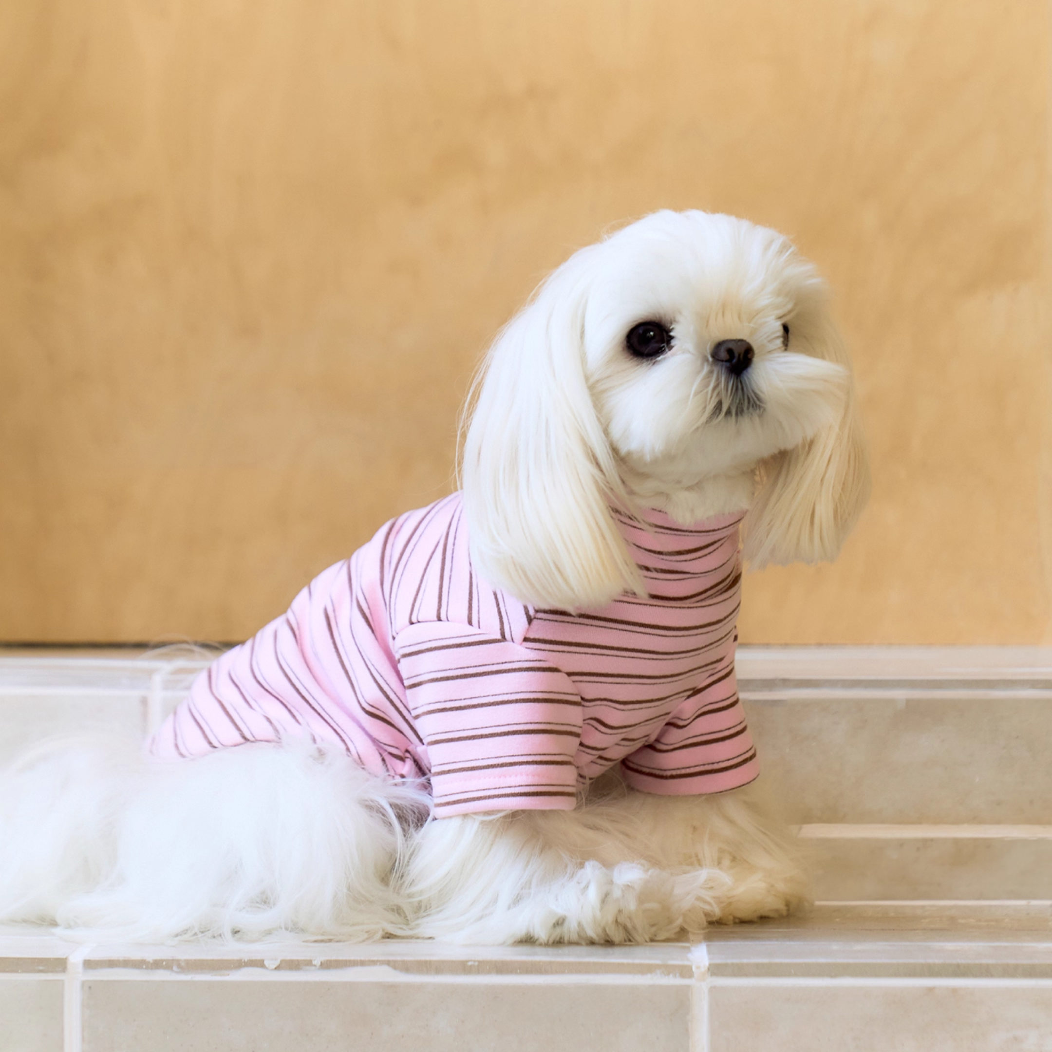 ストライプレイヤートップス