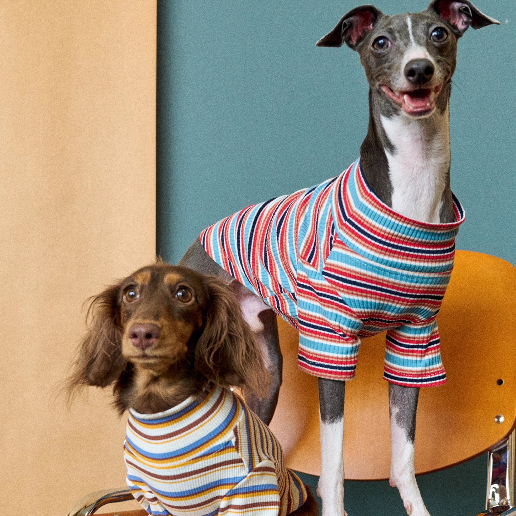 レトロラインタートルトップス