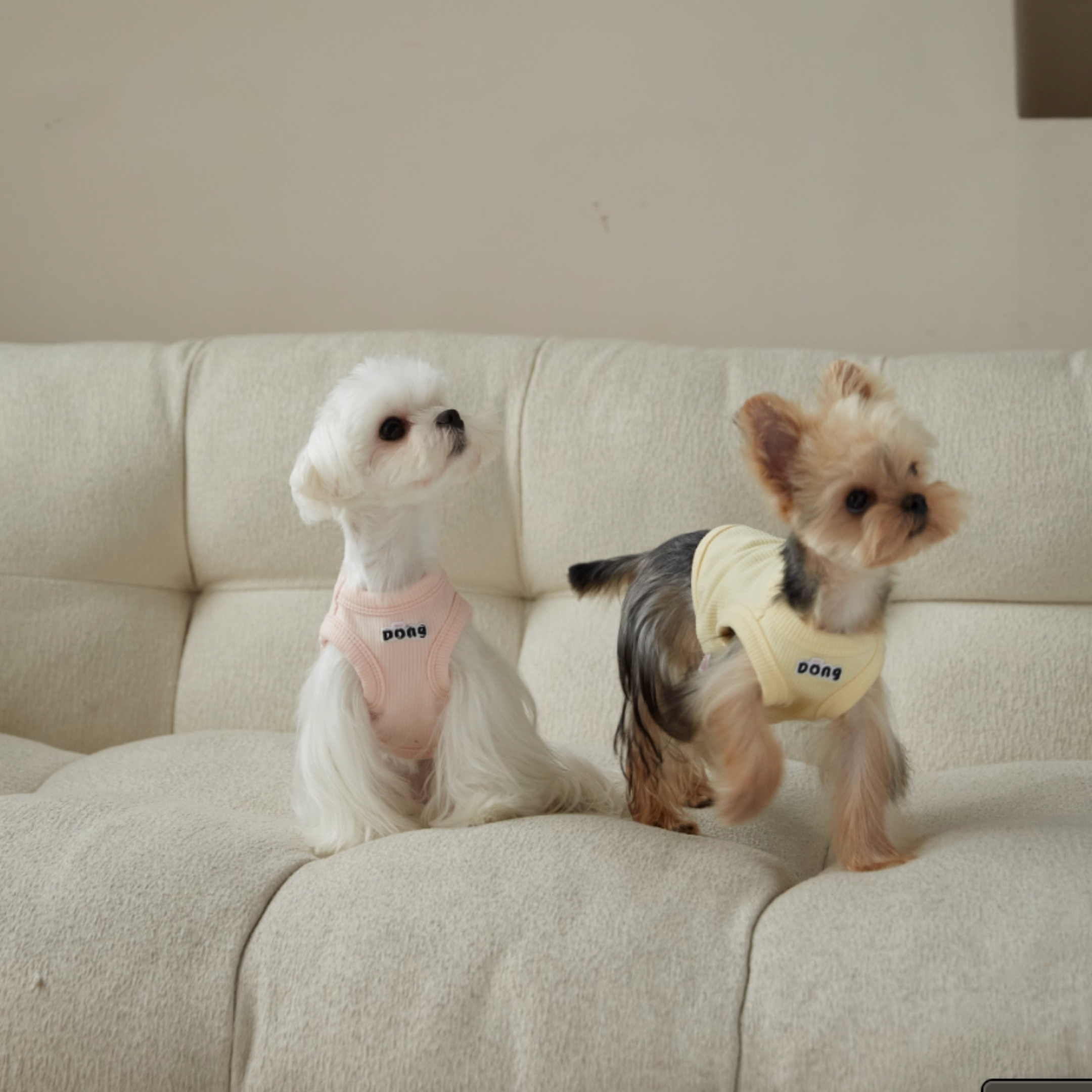 ワンポイントタンクトップ