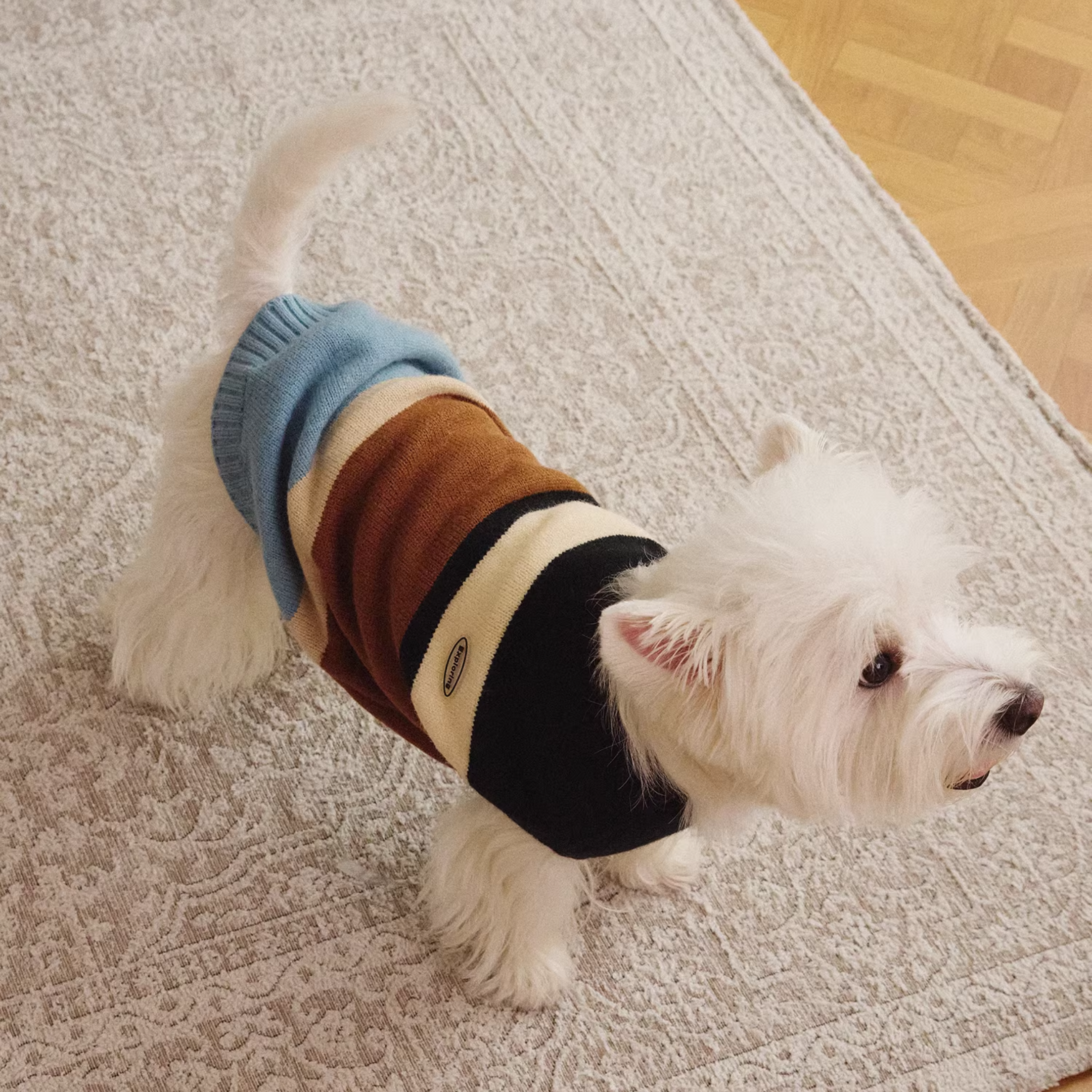 コンフォートボーダートップス