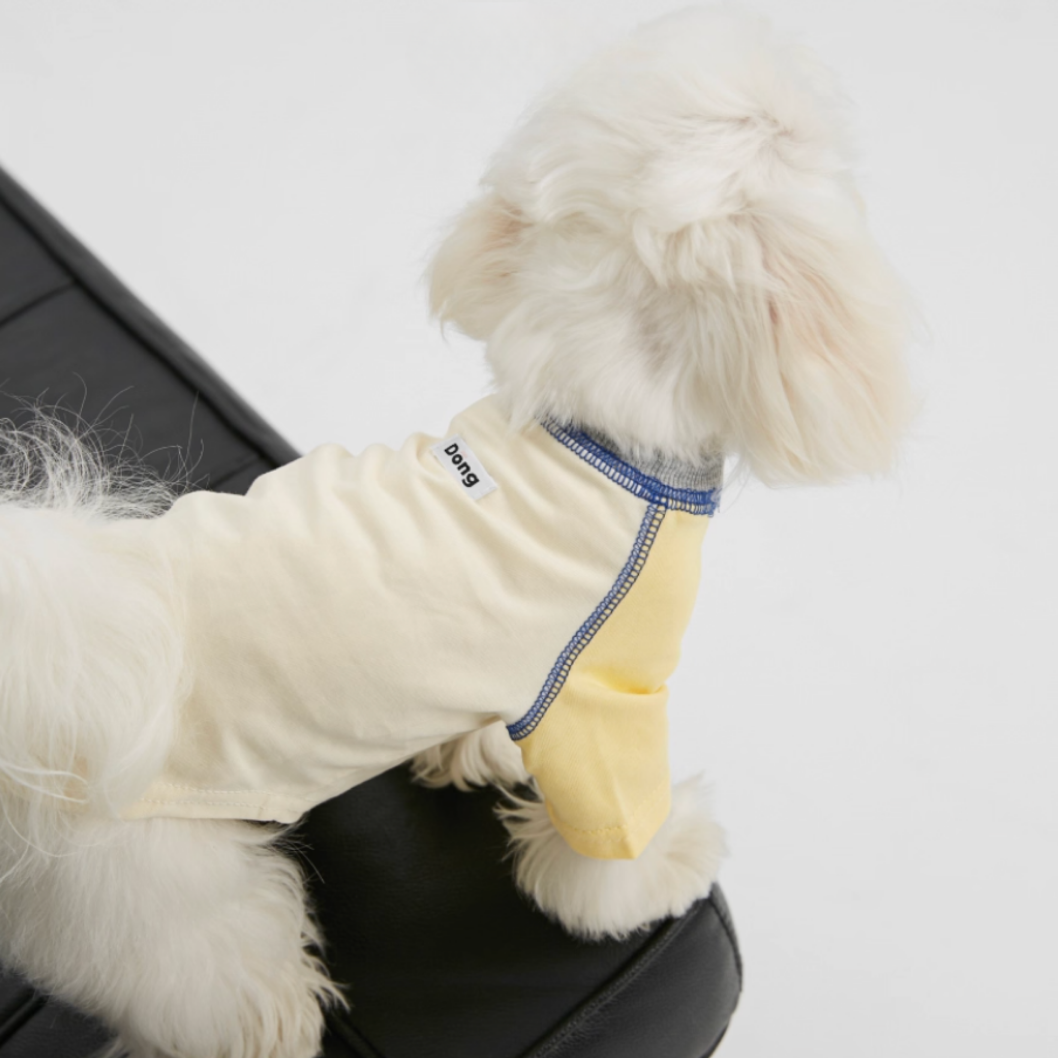 バイカラーラグラントップス