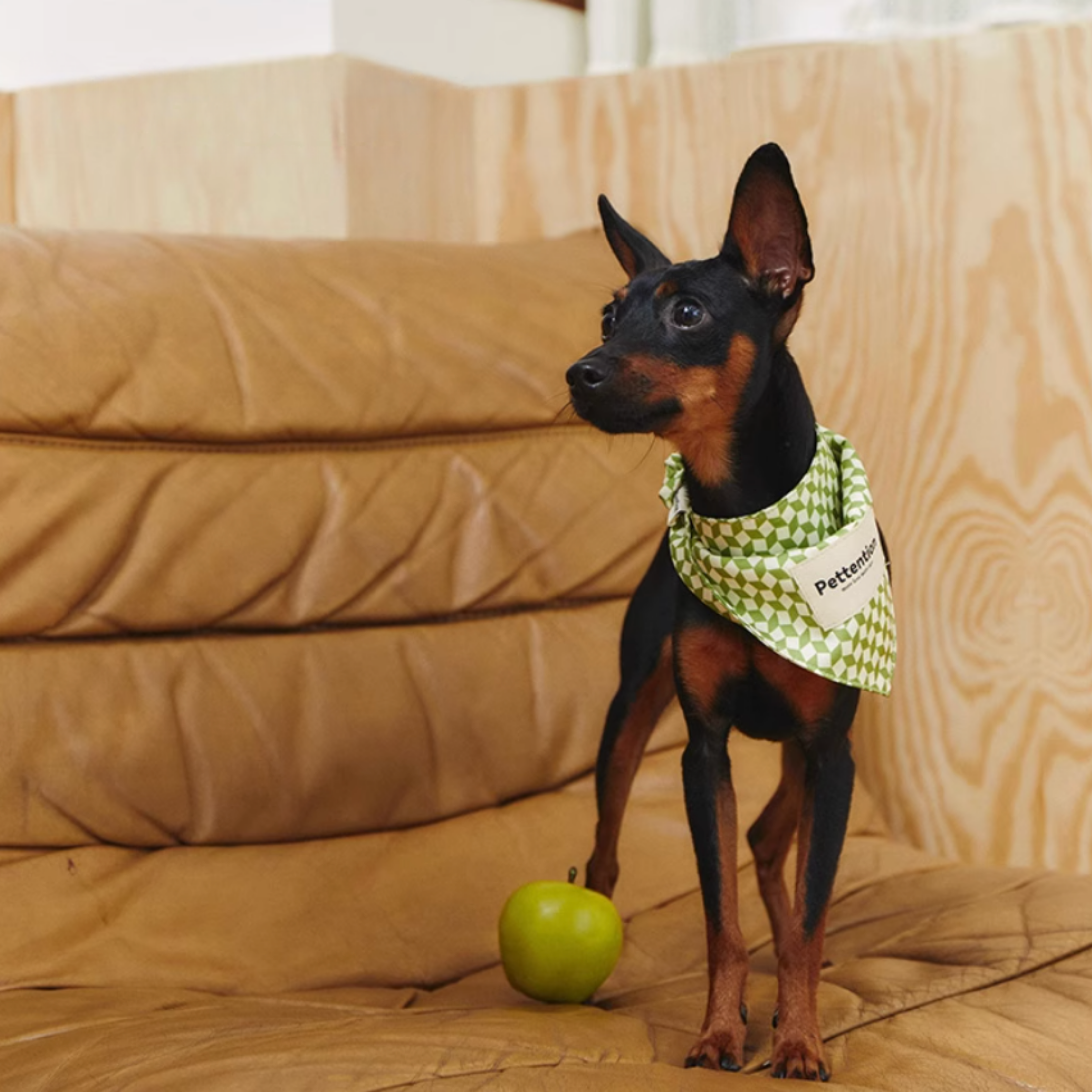 チェックペットバンダナ