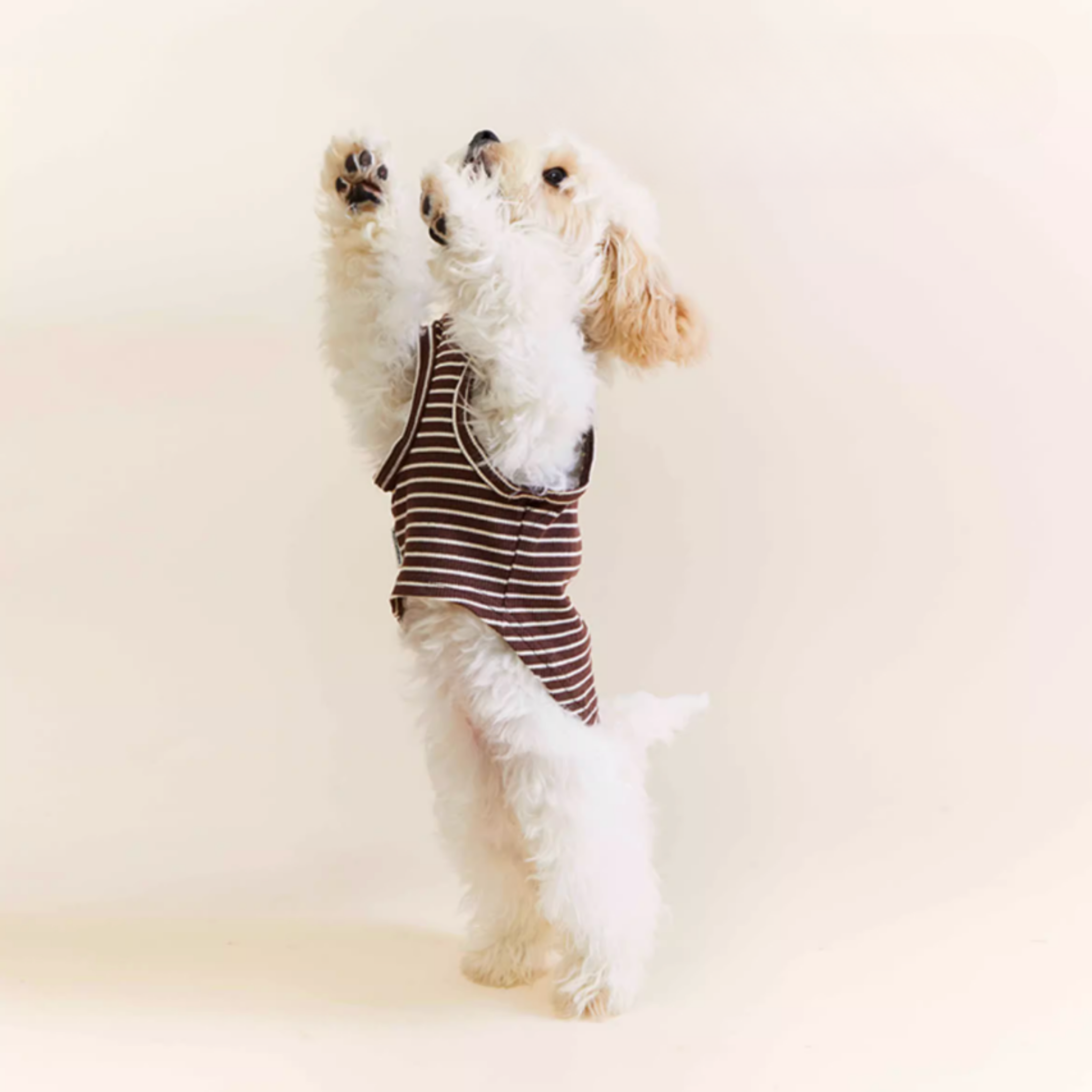 ストライプコットントップス